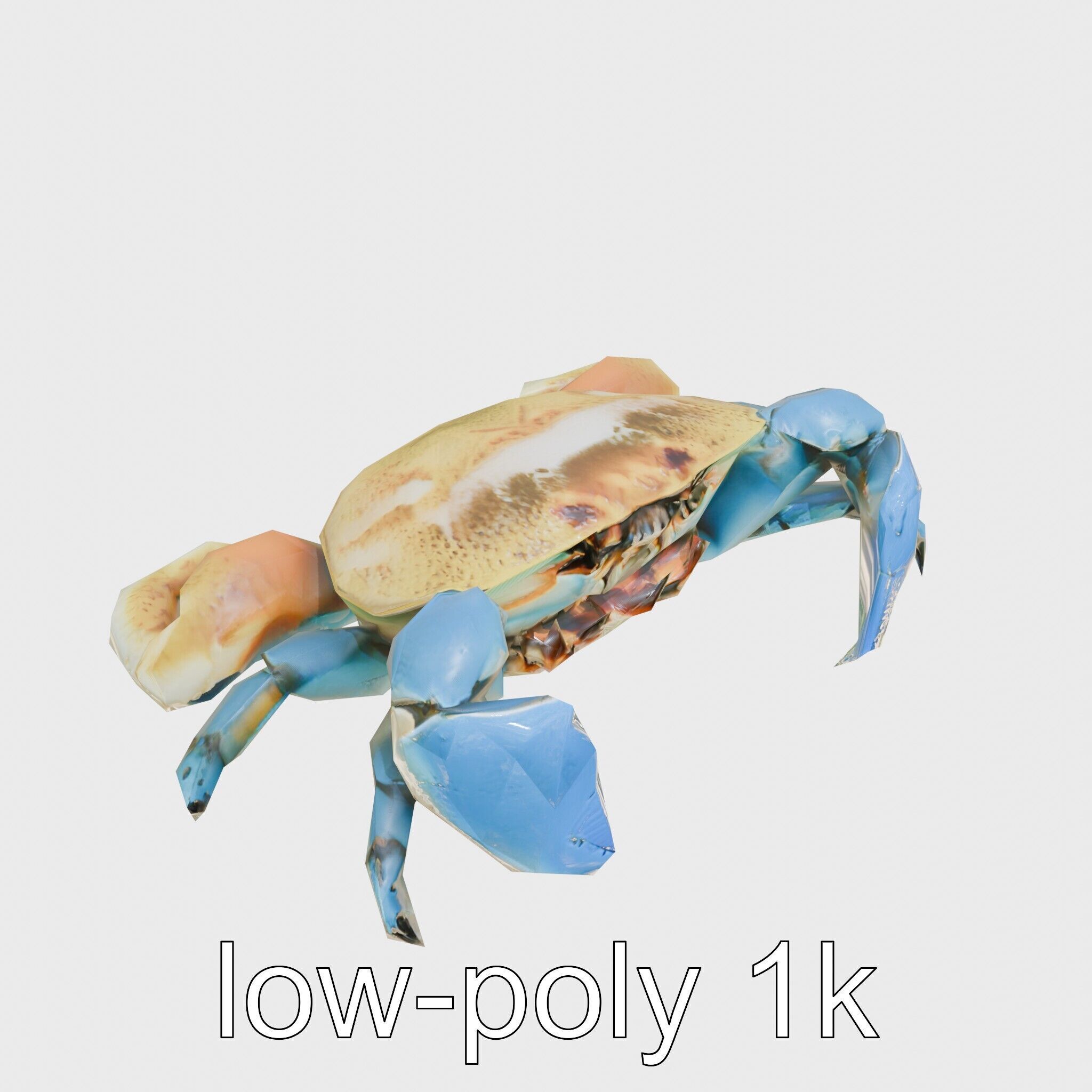 Blue Crab Model with Bright Blue Claws 3D Rendering Low-poly 3D model_21