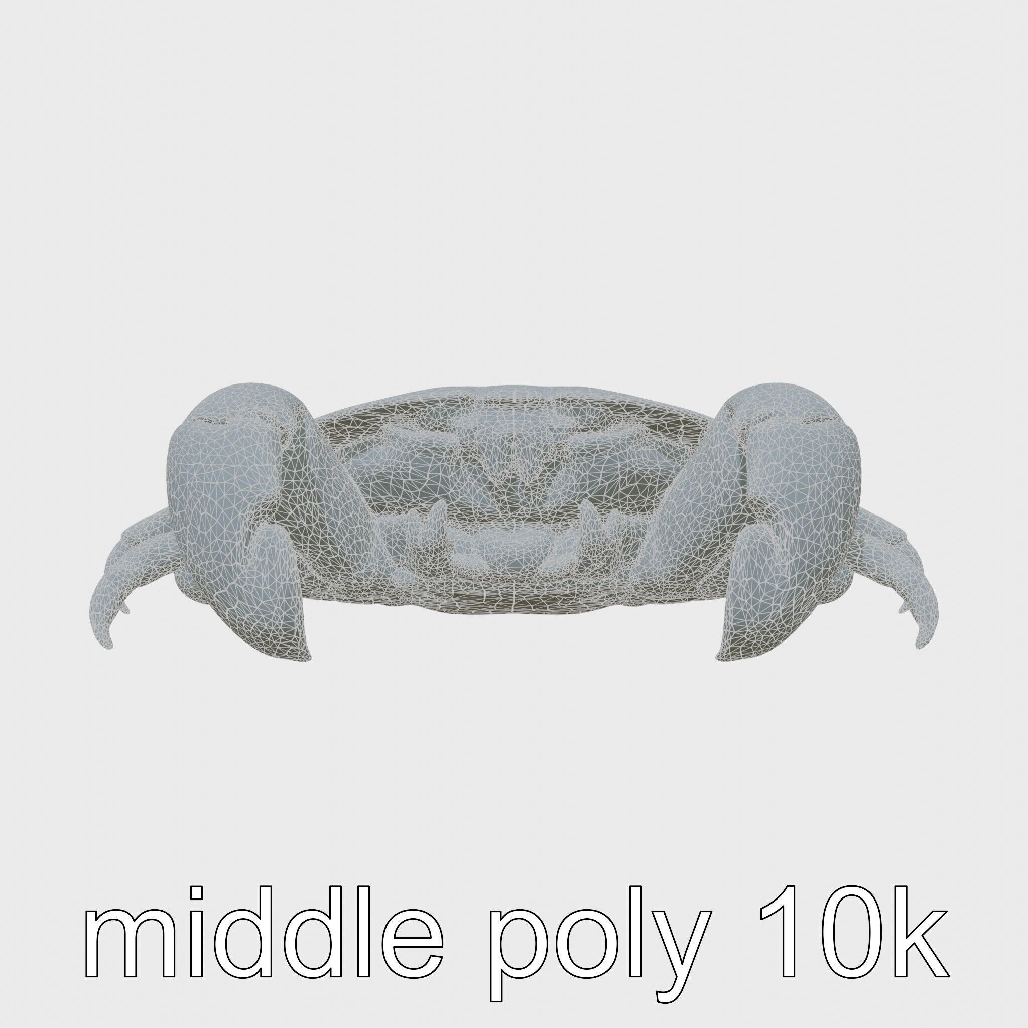 Blue Crab Model with Bright Blue Claws 3D Rendering Low-poly 3D model_27