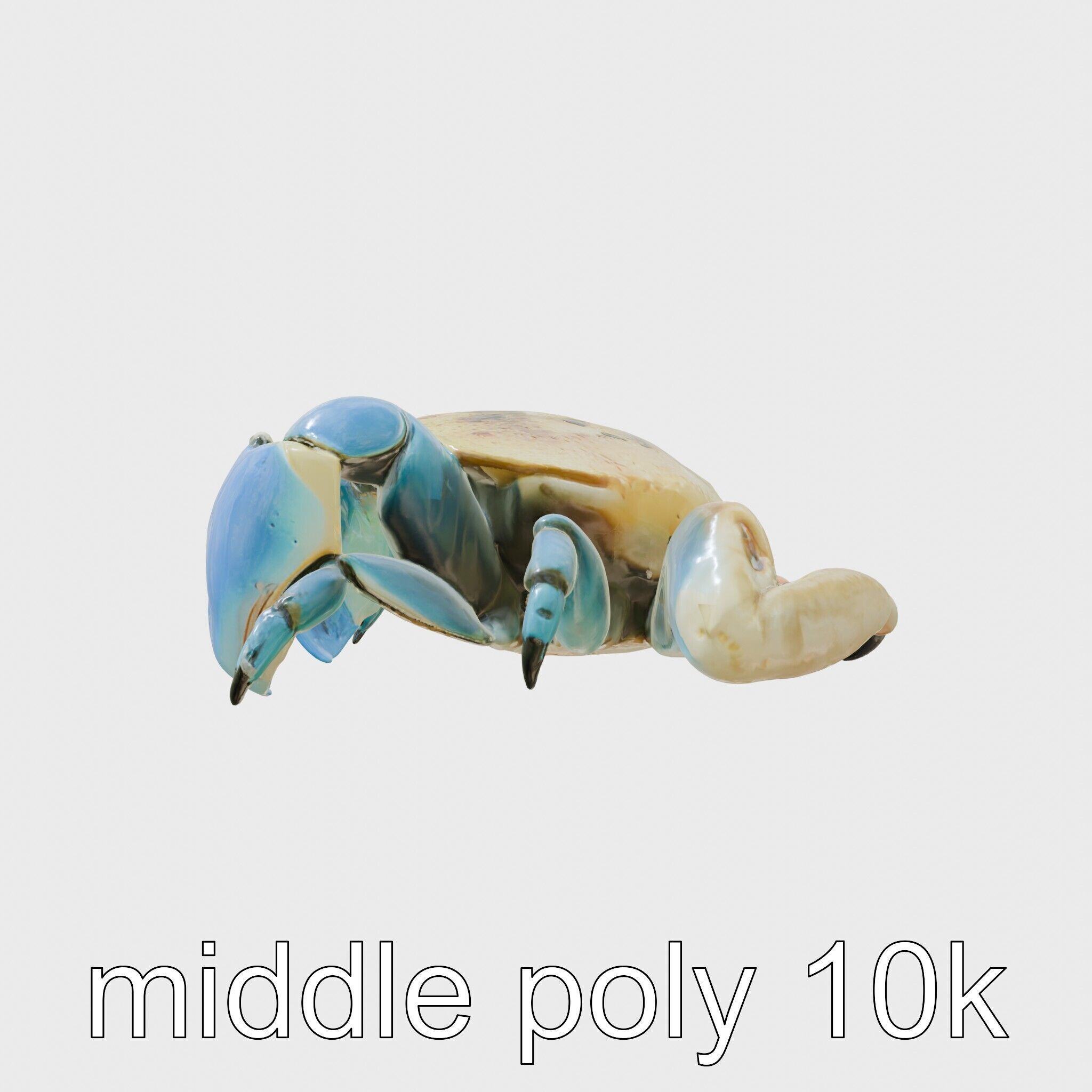 Blue Crab Model with Bright Blue Claws 3D Rendering Low-poly 3D model_2