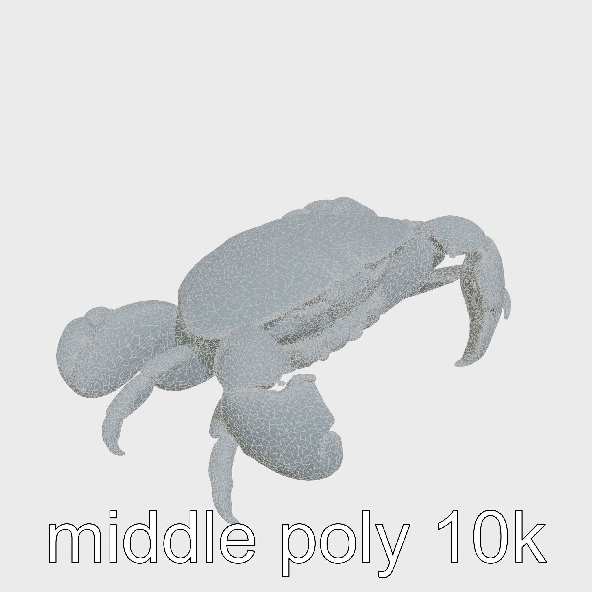 Blue Crab Model with Bright Blue Claws 3D Rendering Low-poly 3D model_25