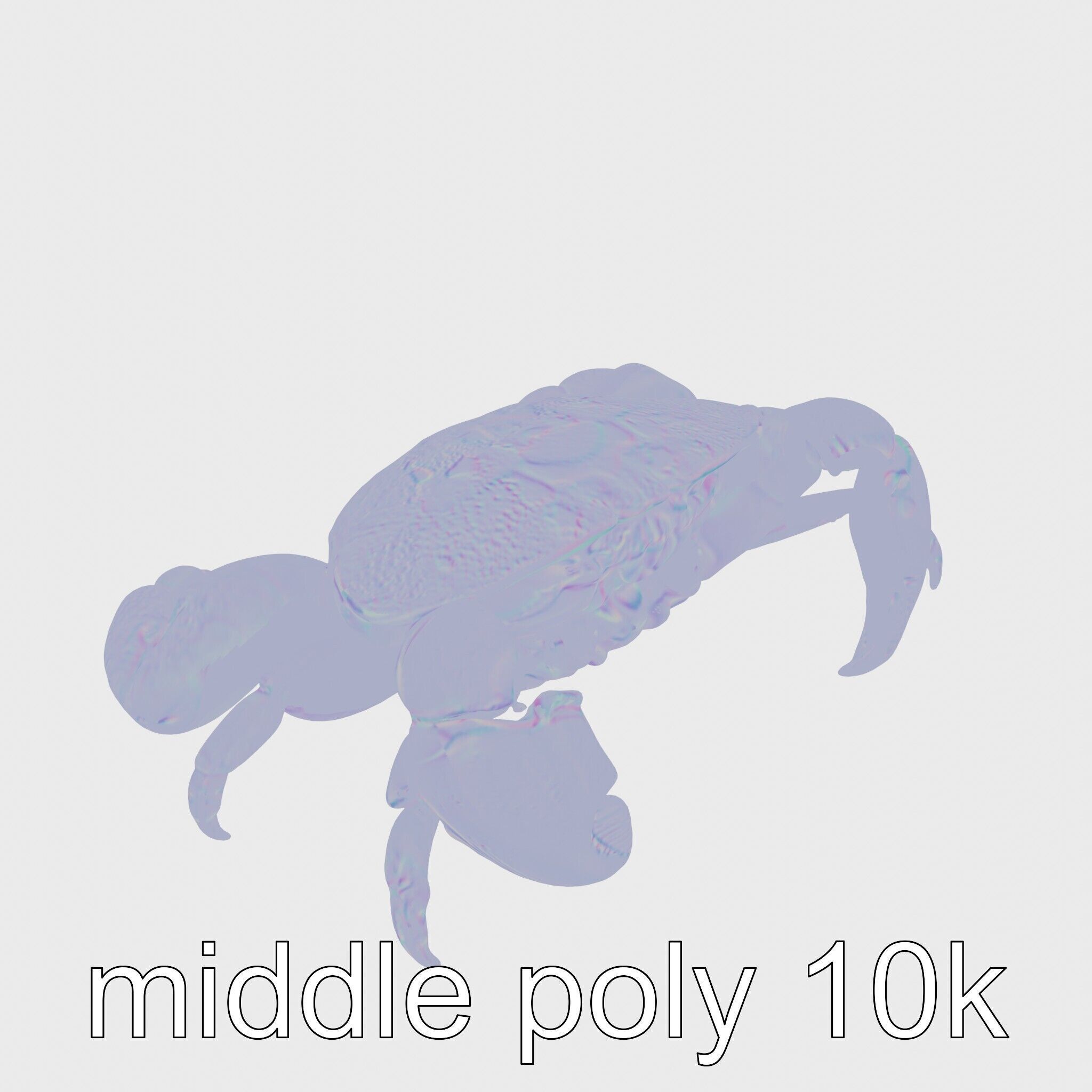 Blue Crab Model with Bright Blue Claws 3D Rendering Low-poly 3D model_24