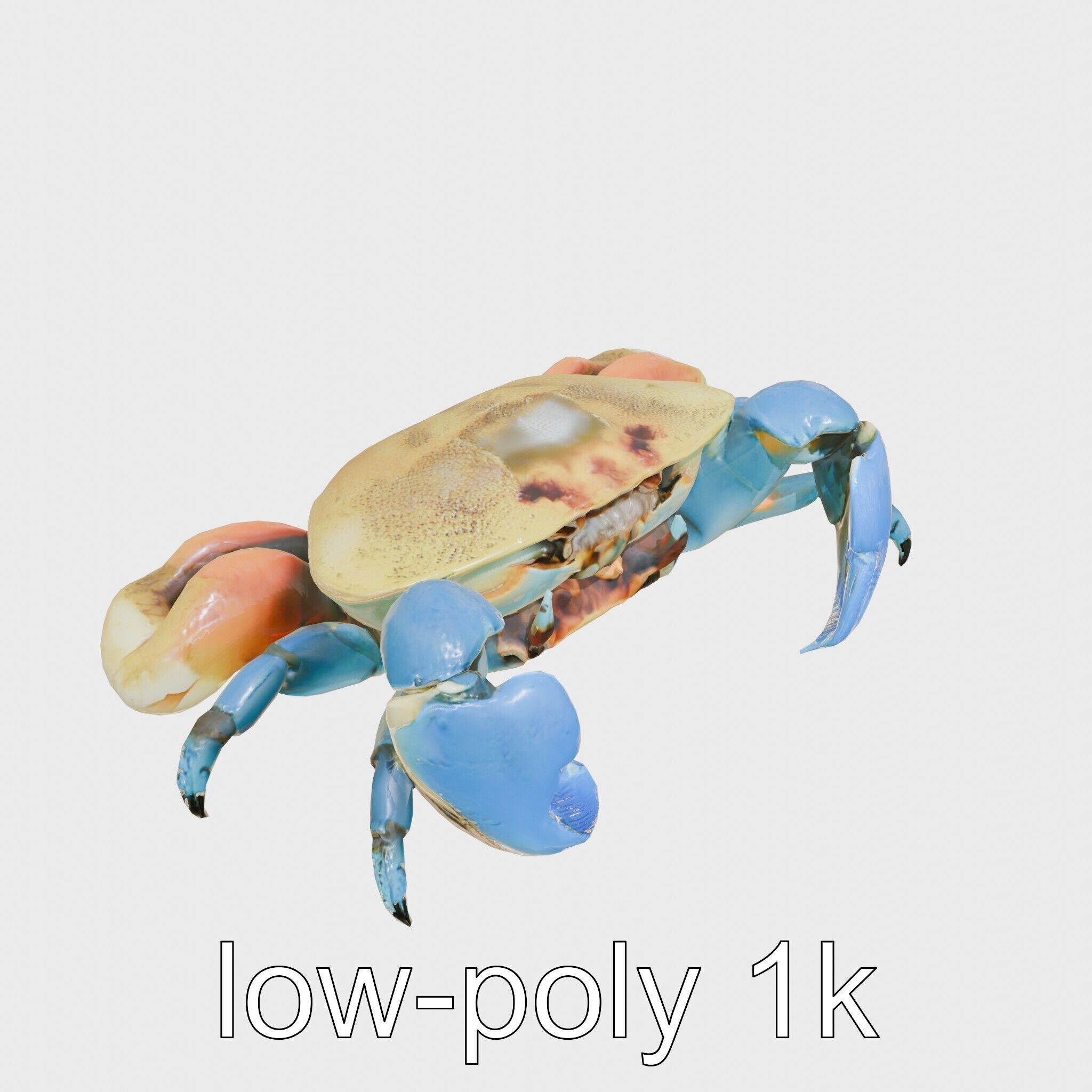 Blue Crab Model with Bright Blue Claws 3D Rendering Low-poly 3D model_12