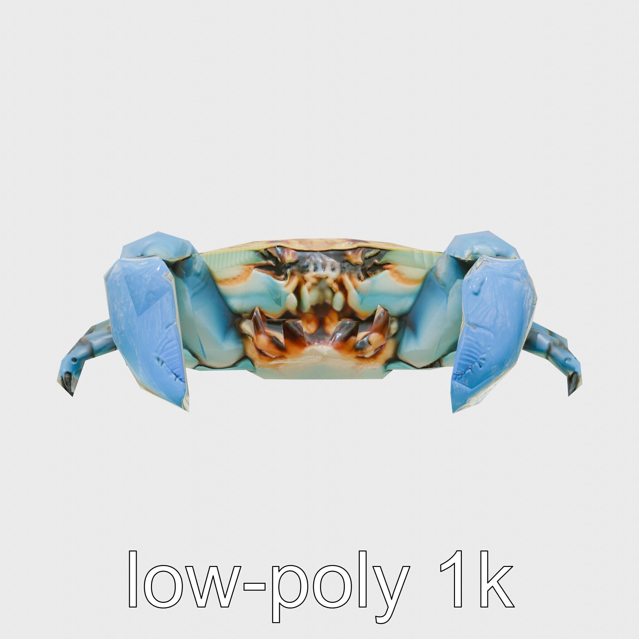 Blue Crab Model with Bright Blue Claws 3D Rendering Low-poly 3D model_26
