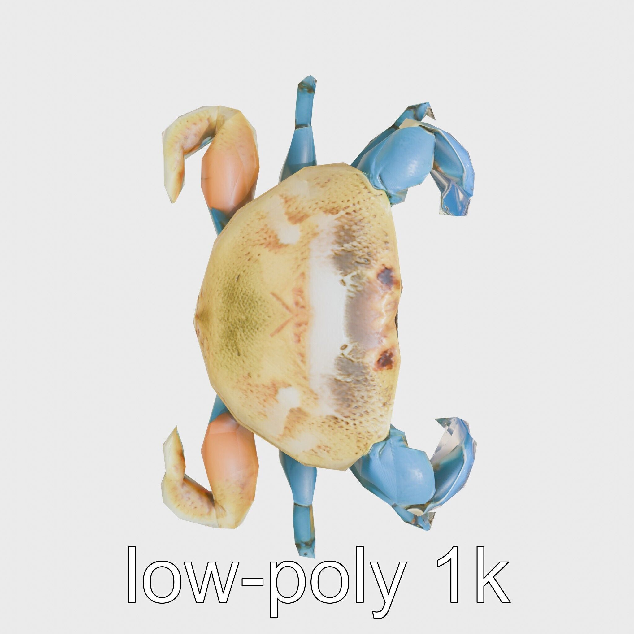 Blue Crab Model with Bright Blue Claws 3D Rendering Low-poly 3D model_18