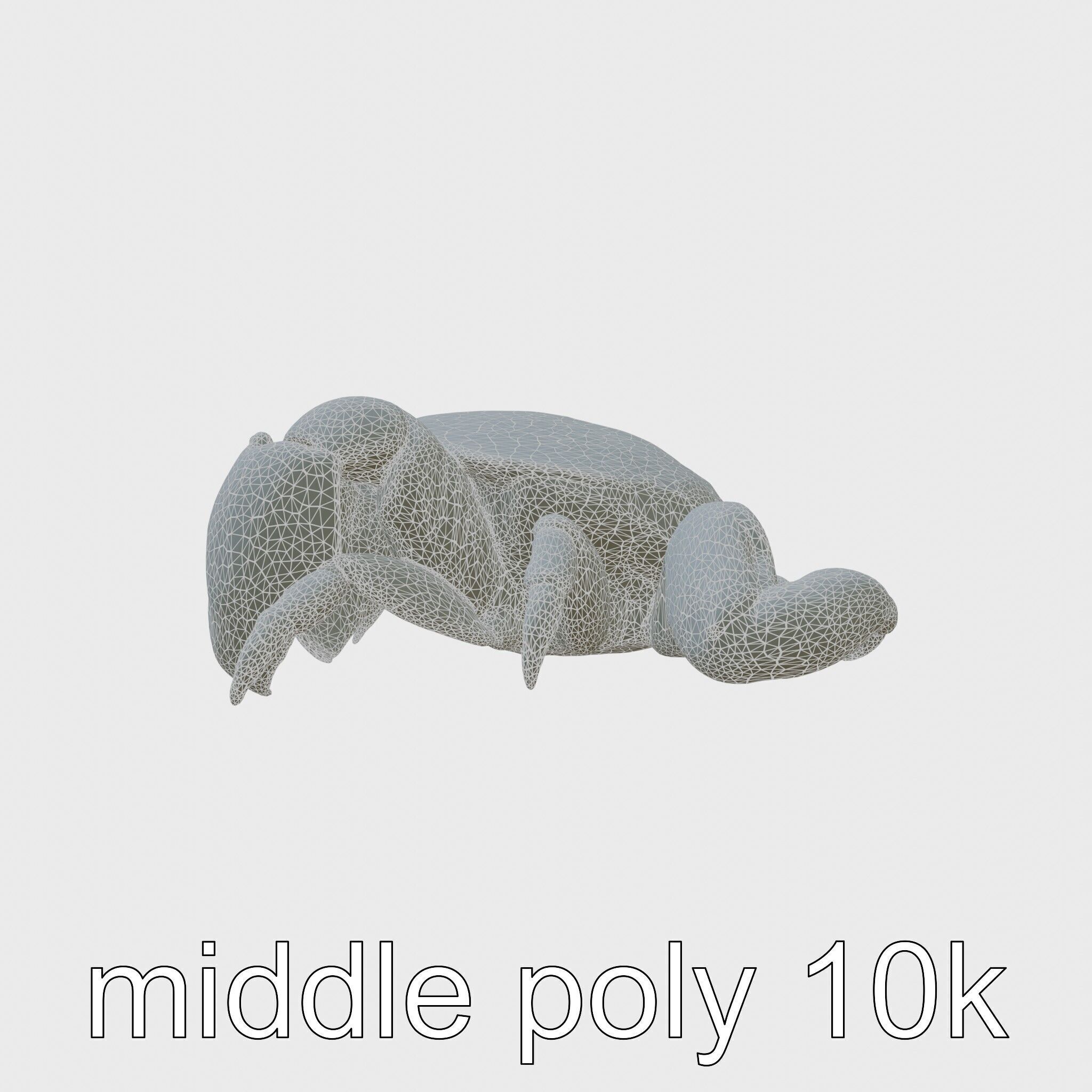 Blue Crab Model with Bright Blue Claws 3D Rendering Low-poly 3D model_5