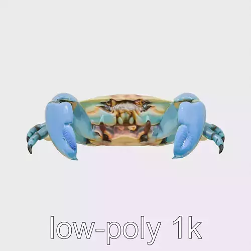 Blue Crab Model with Bright Blue Claws 3D Rendering