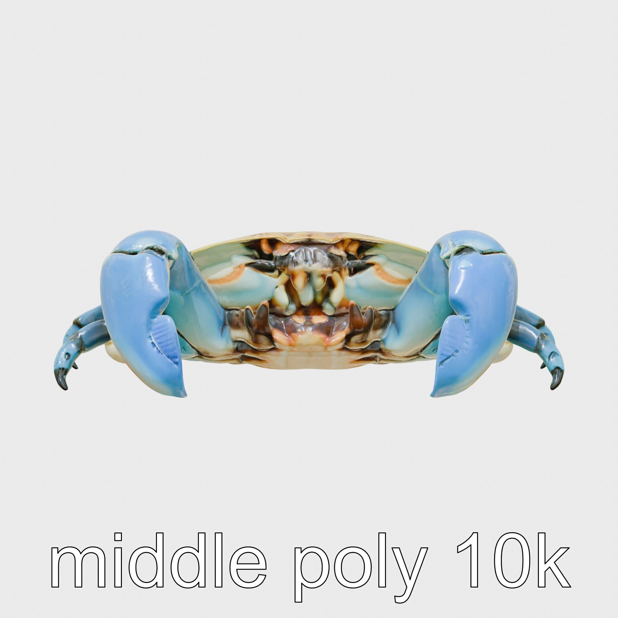 Blue Crab Model with Bright Blue Claws 3D Rendering Low-poly 3D model_20