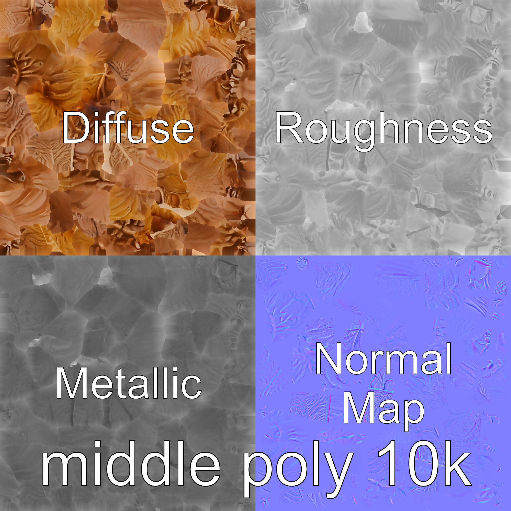 Paper Nautilus Delicate Shell Structure Model Low-poly 3D model_30