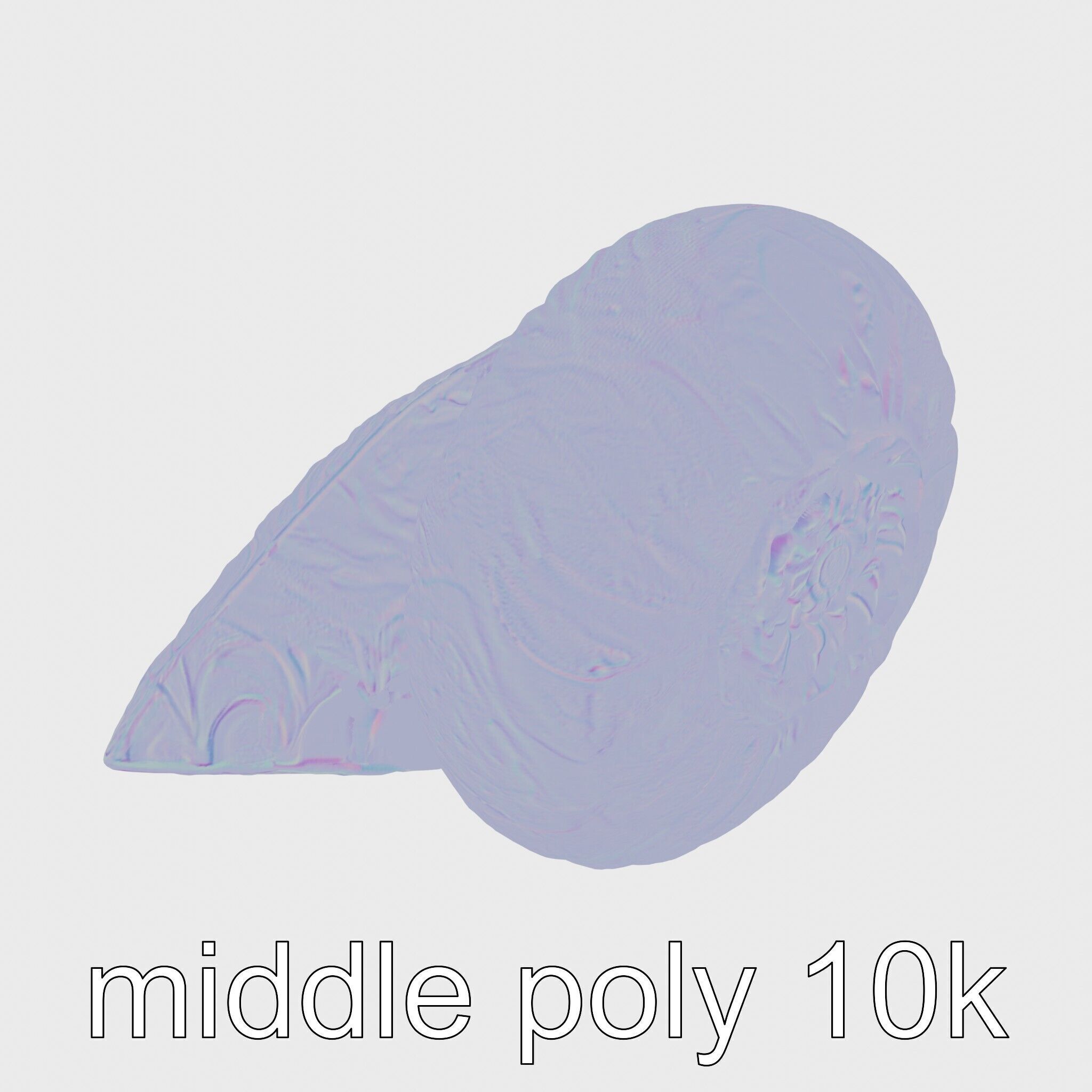 Paper Nautilus Delicate Shell Structure Model Low-poly 3D model_23