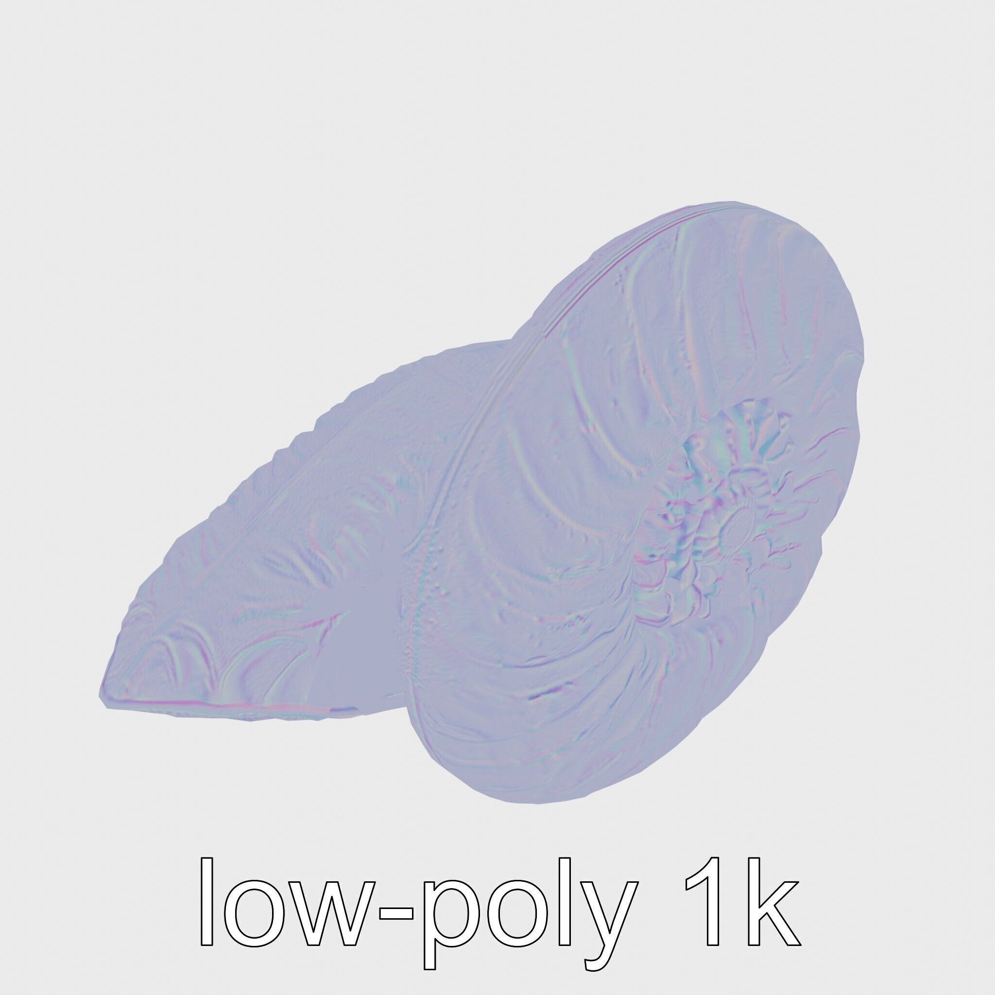 Paper Nautilus Delicate Shell Structure Model Low-poly 3D model_18