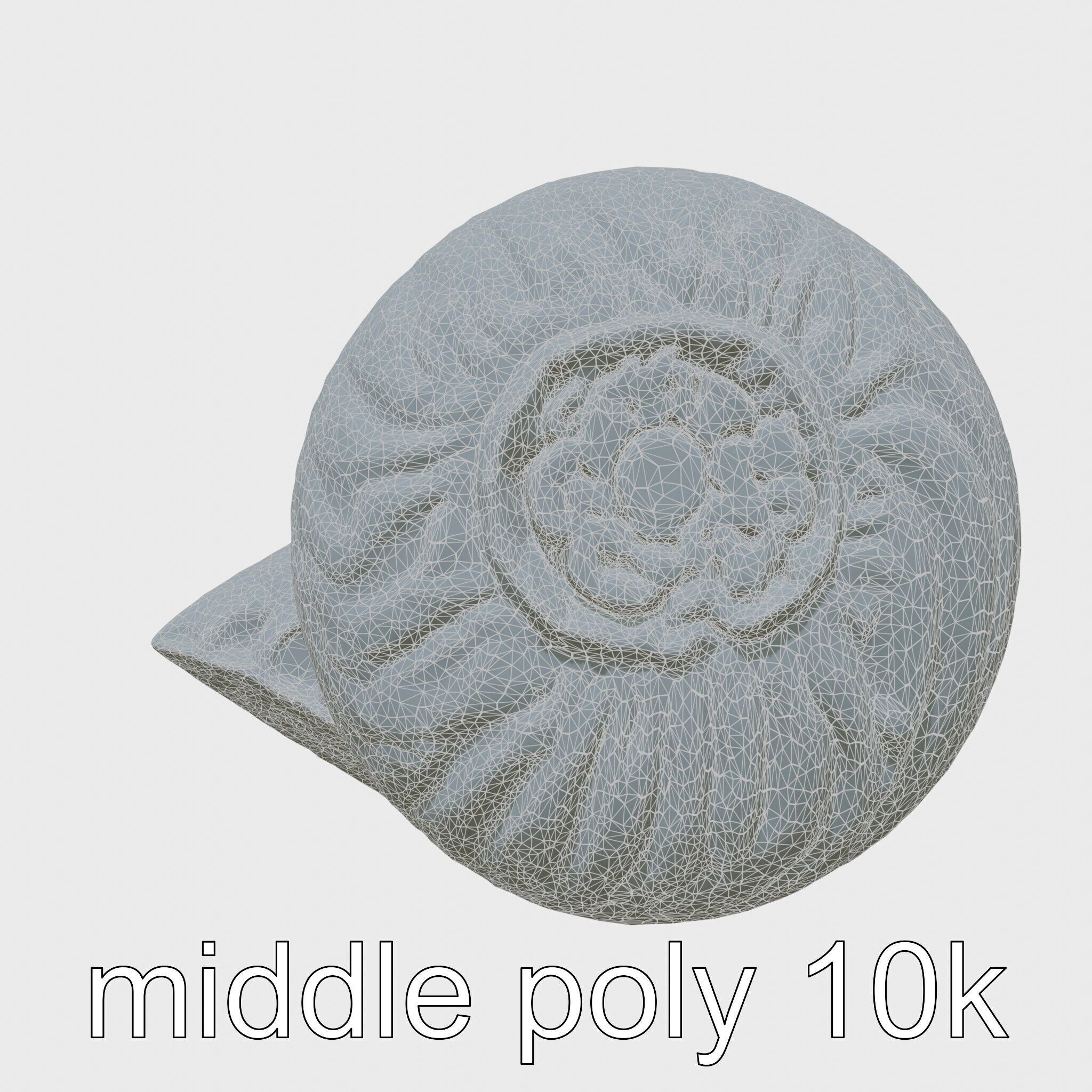 Paper Nautilus Delicate Shell Structure Model Low-poly 3D model_5