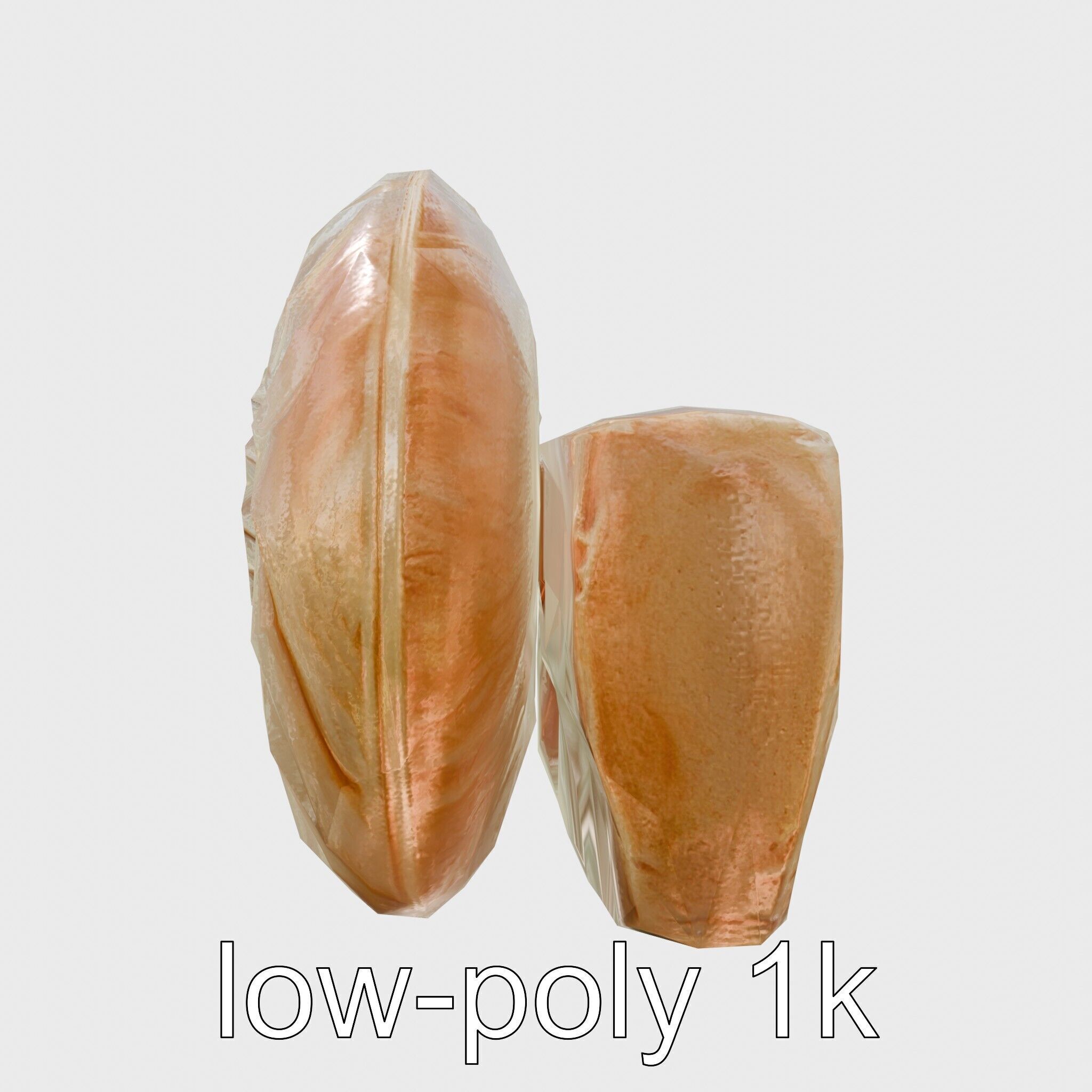 Paper Nautilus Delicate Shell Structure Model Low-poly 3D model_4