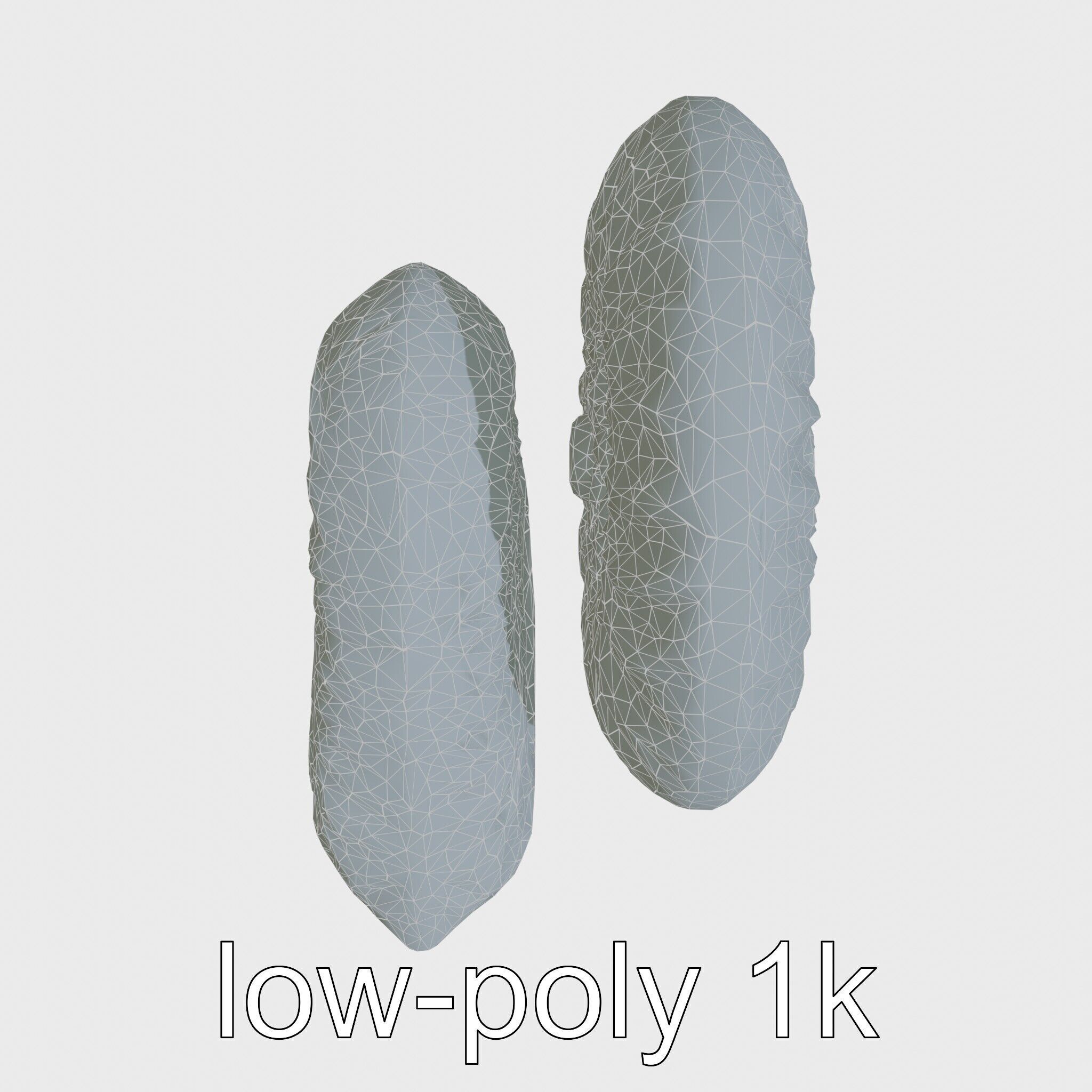 Paper Nautilus Delicate Shell Structure Model Low-poly 3D model_16