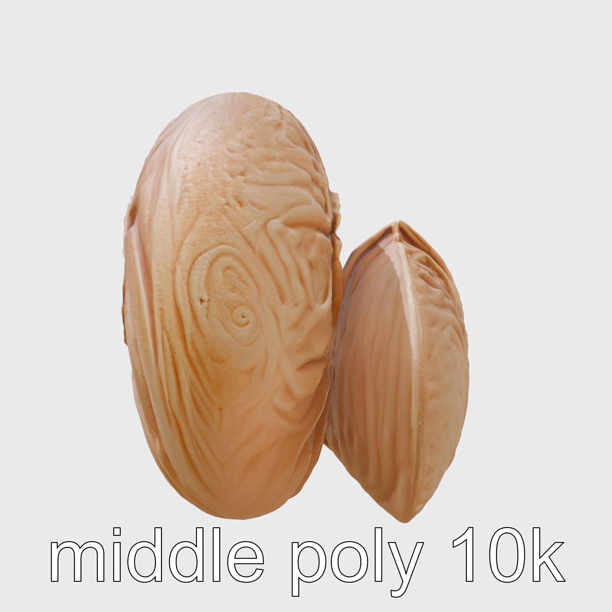 Paper Nautilus Delicate Shell Structure Model Low-poly 3D model_21