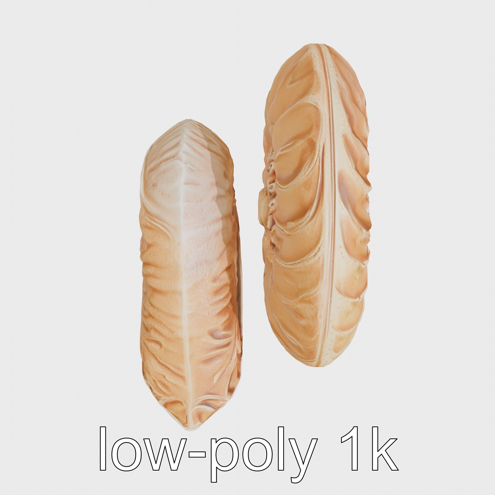 Paper Nautilus Delicate Shell Structure Model Low-poly 3D model_29