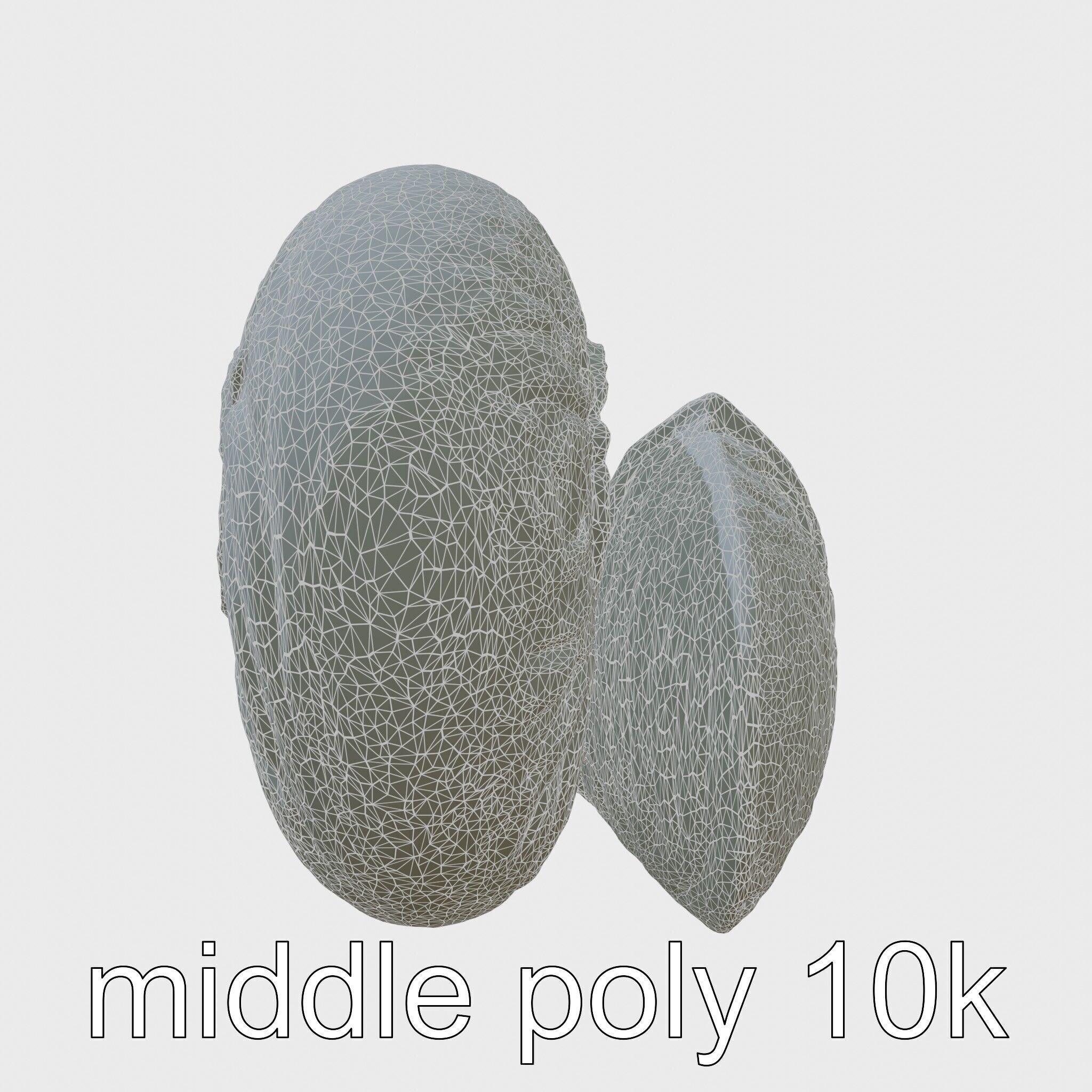 Paper Nautilus Delicate Shell Structure Model Low-poly 3D model_25