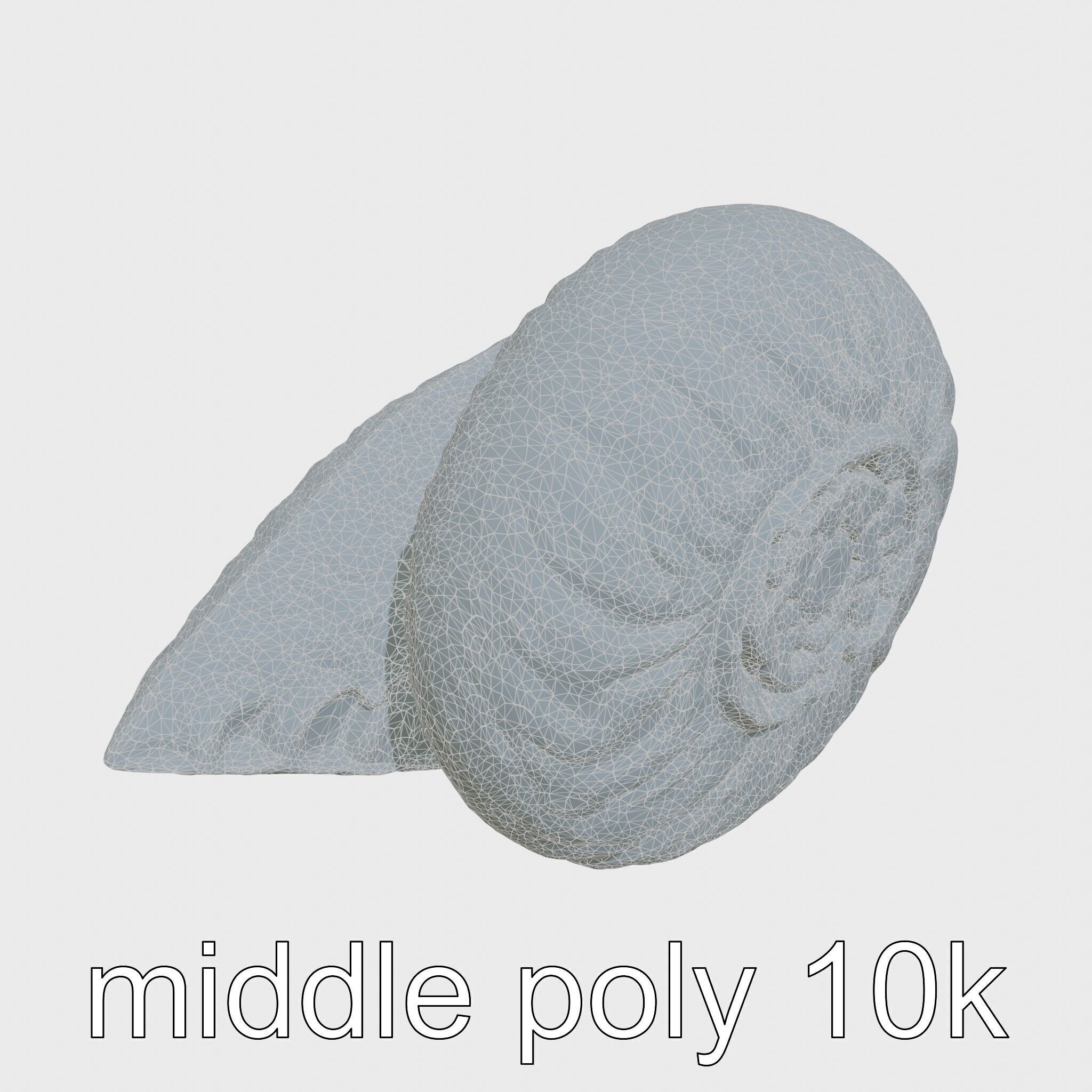 Paper Nautilus Delicate Shell Structure Model Low-poly 3D model_19