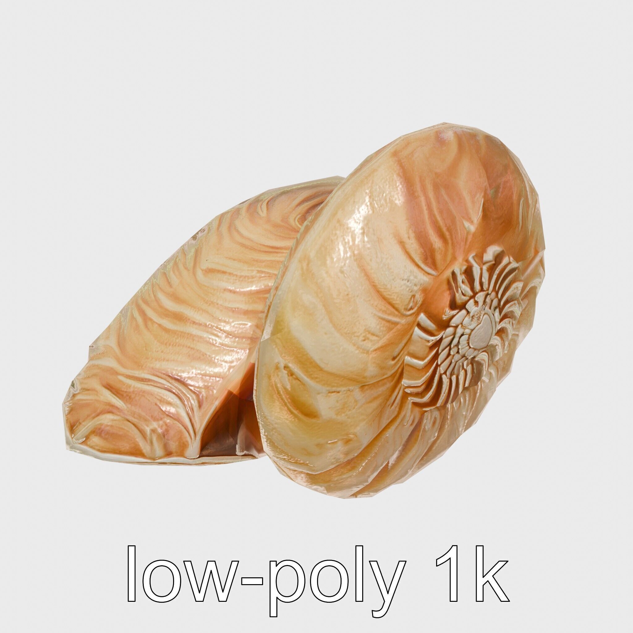 Paper Nautilus Delicate Shell Structure Model Low-poly 3D model_10