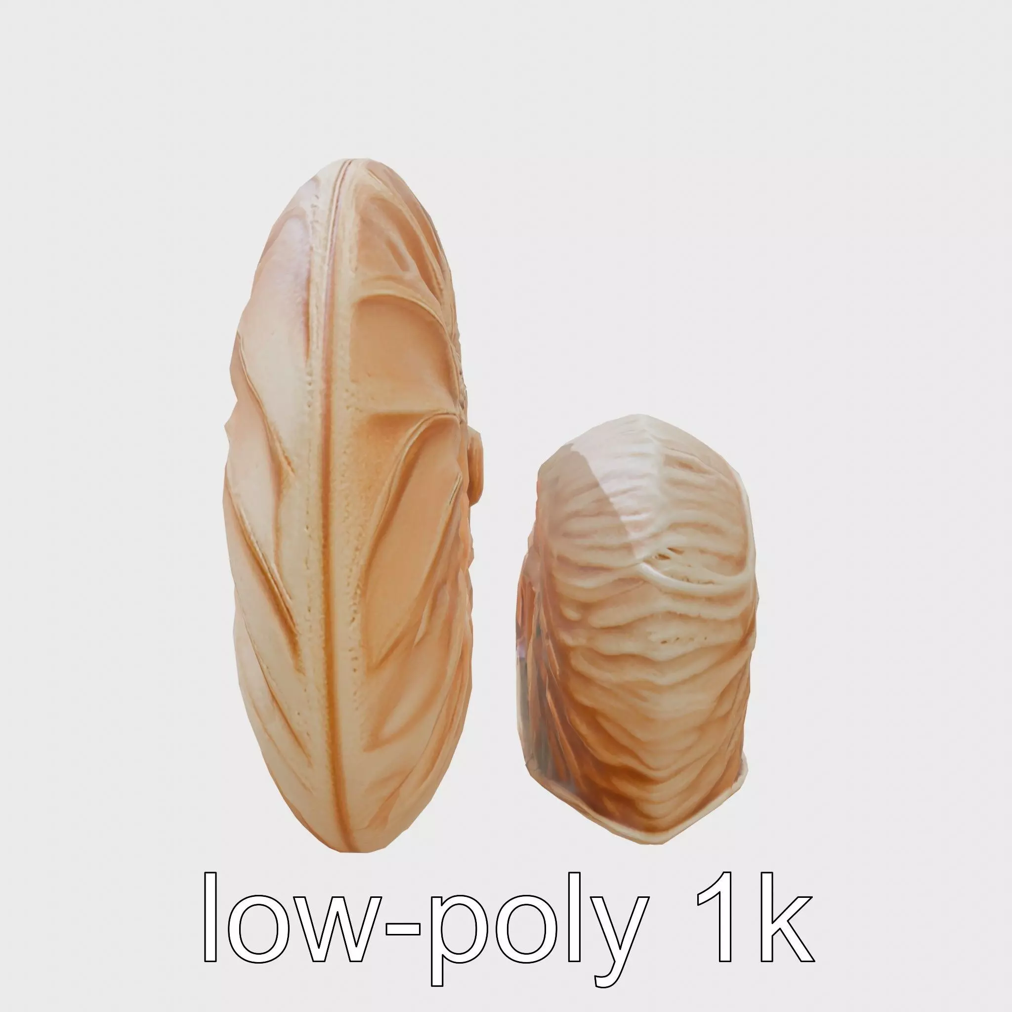 Paper Nautilus Delicate Shell Structure Model Low-poly 3D model_0