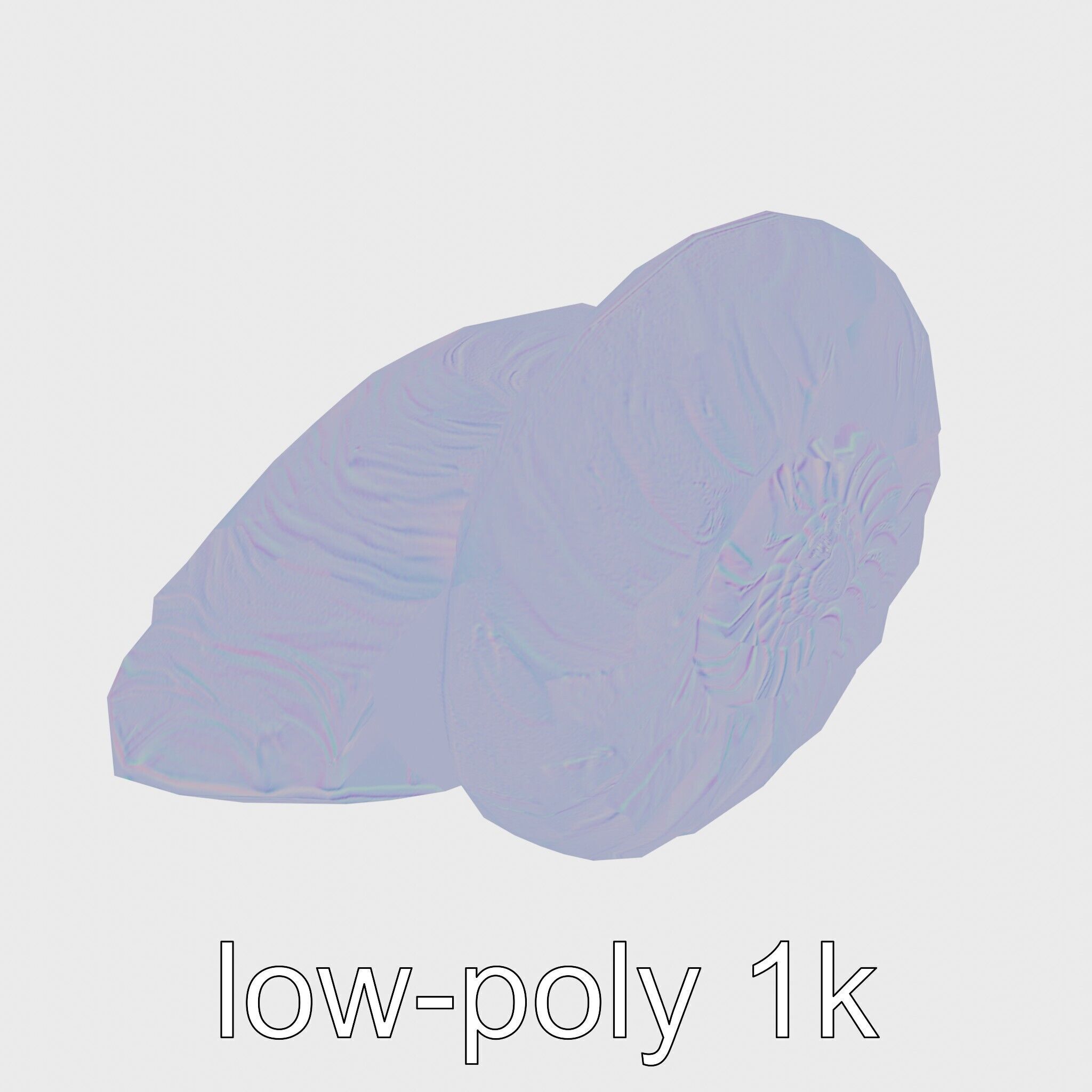 Paper Nautilus Delicate Shell Structure Model Low-poly 3D model_22