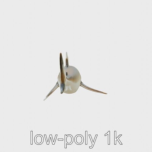 Whitetip Reef Shark 3D Model with White-Tipped Fins Low-poly 3D model
