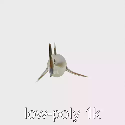 Whitetip Reef Shark 3D Model with White-Tipped Fins Low-poly 3D model