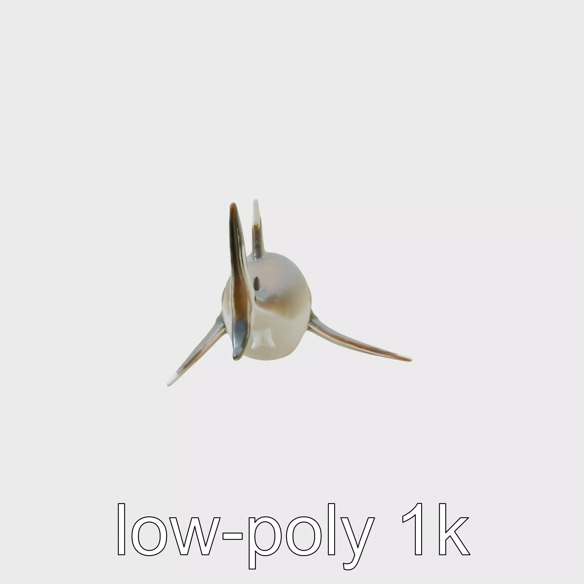 Whitetip Reef Shark 3D Model with White-Tipped Fins Low-poly 3D model_0