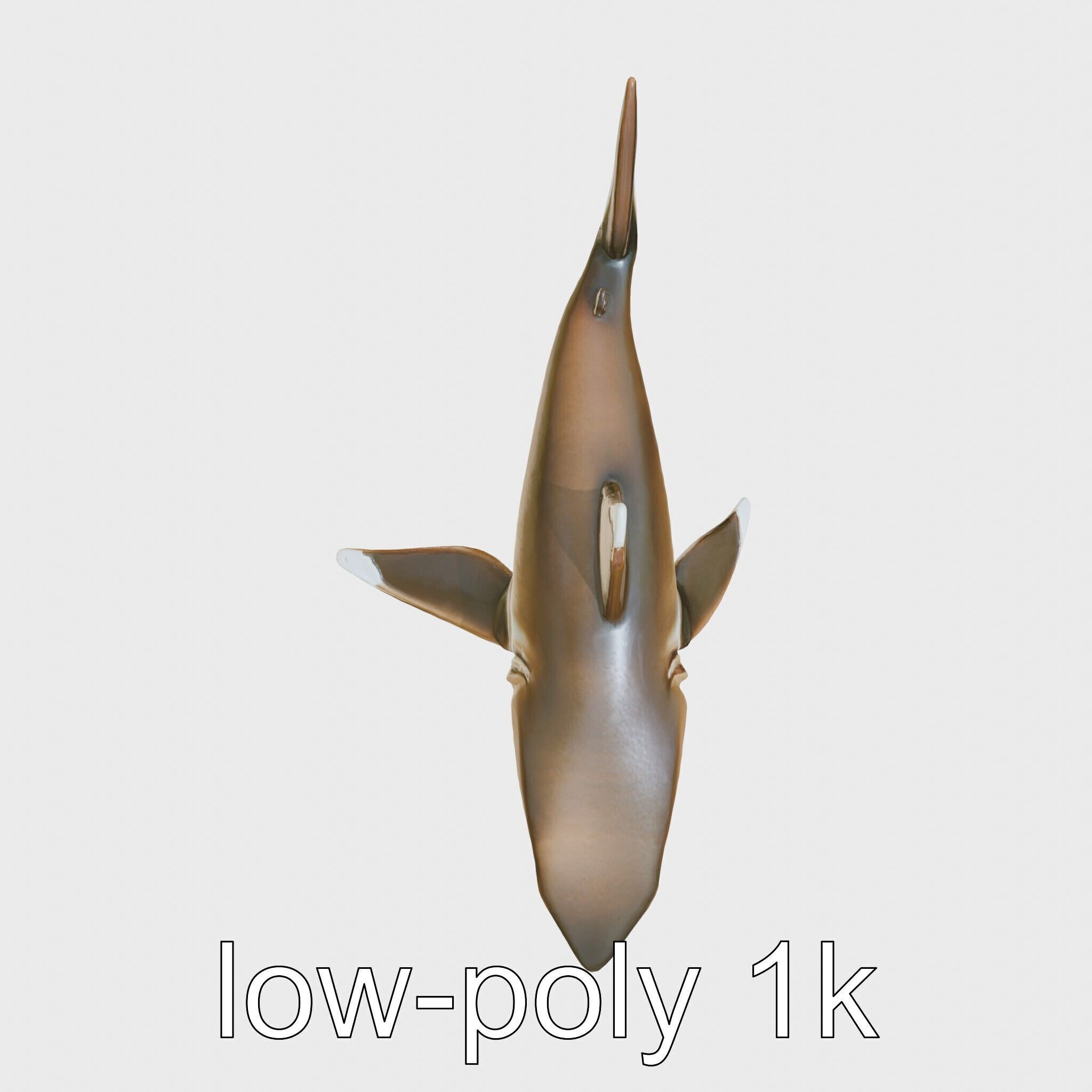 Whitetip Reef Shark 3D Model with White-Tipped Fins Low-poly 3D model_12