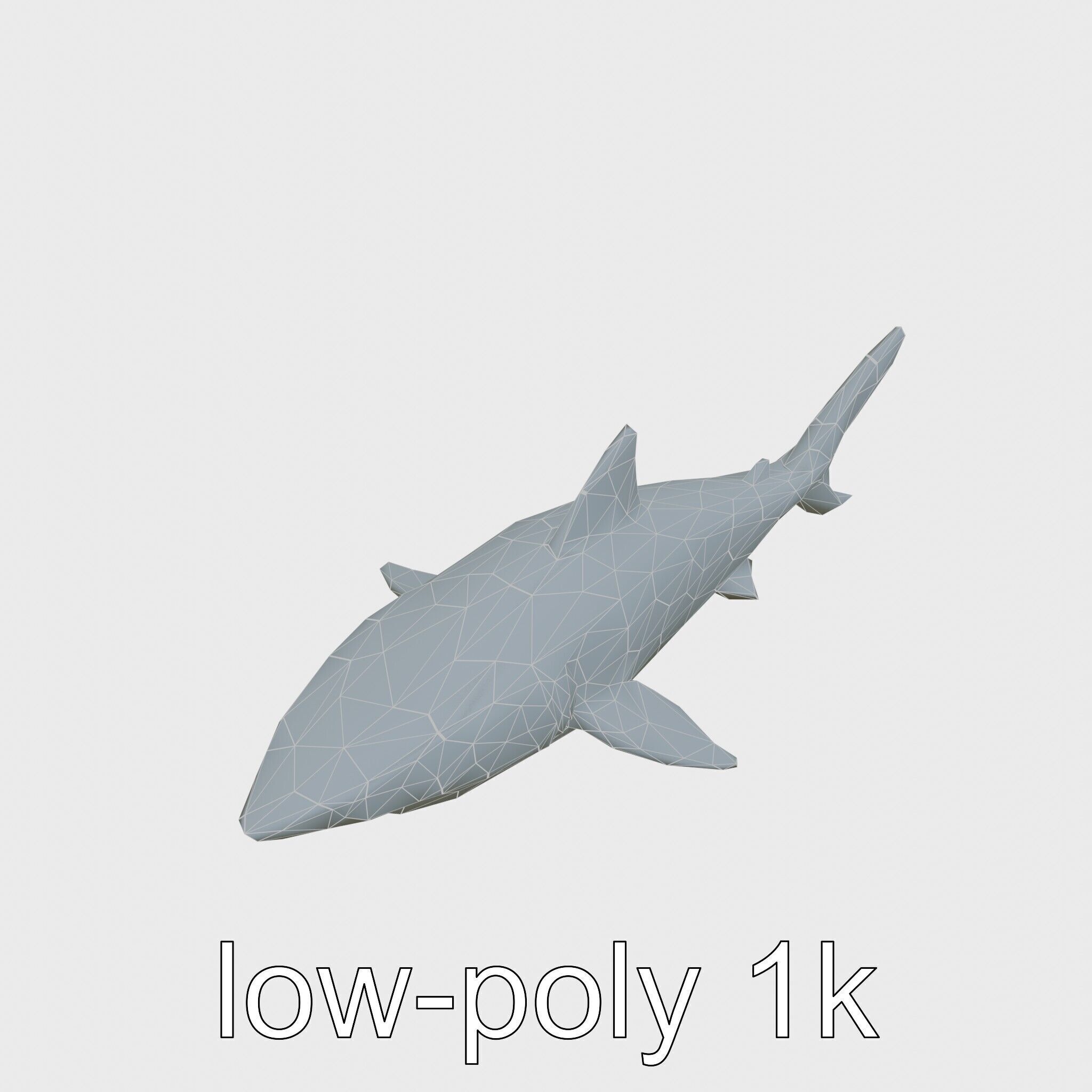 Whitetip Reef Shark 3D Model with White-Tipped Fins Low-poly 3D model_11
