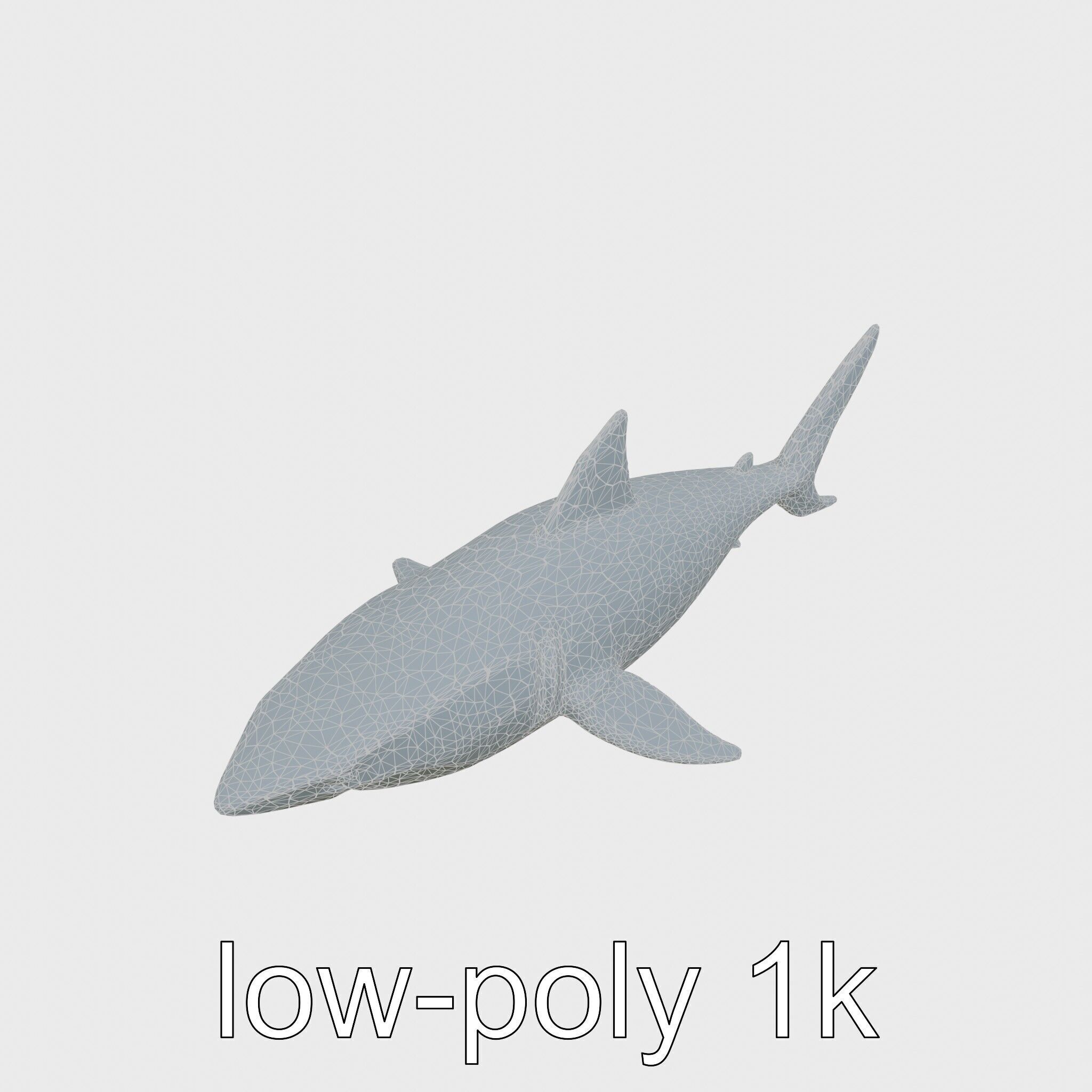 Whitetip Reef Shark 3D Model with White-Tipped Fins Low-poly 3D model_14