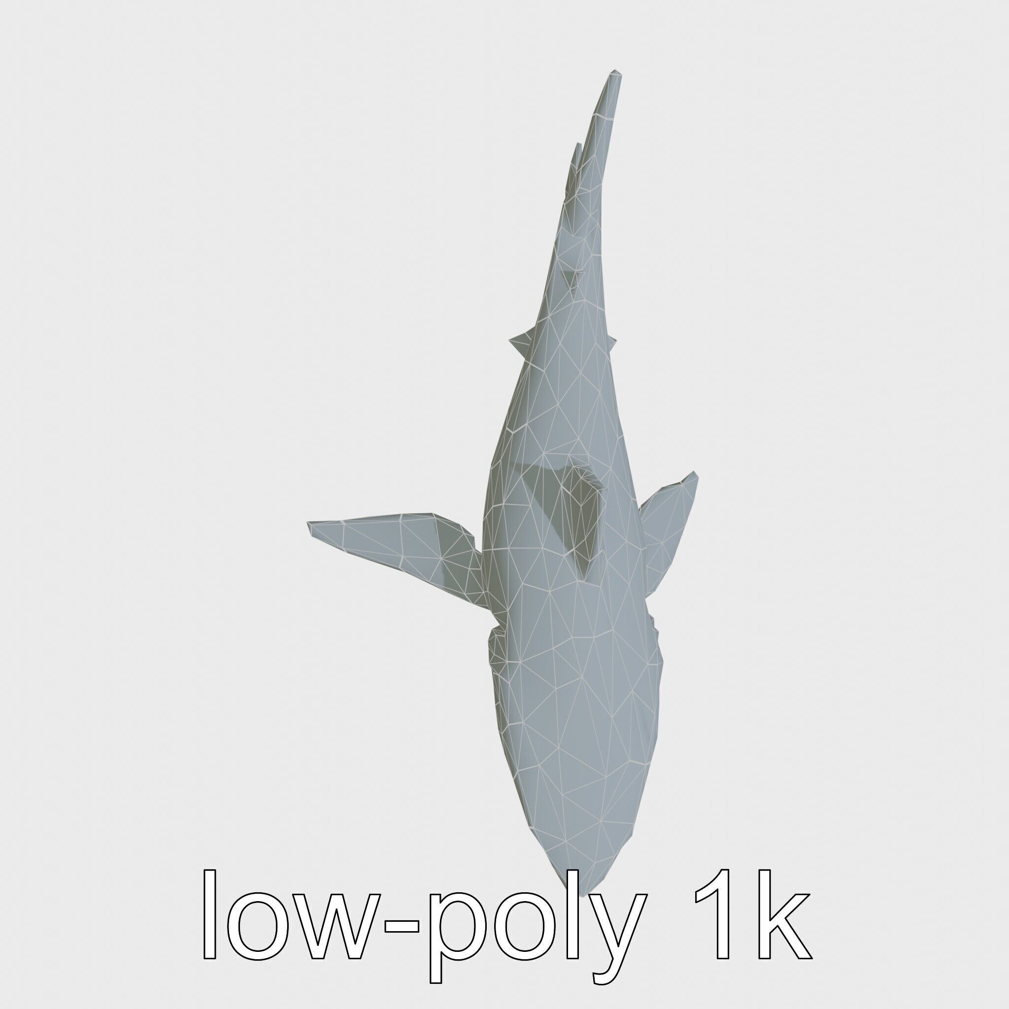 Whitetip Reef Shark 3D Model with White-Tipped Fins Low-poly 3D model_20