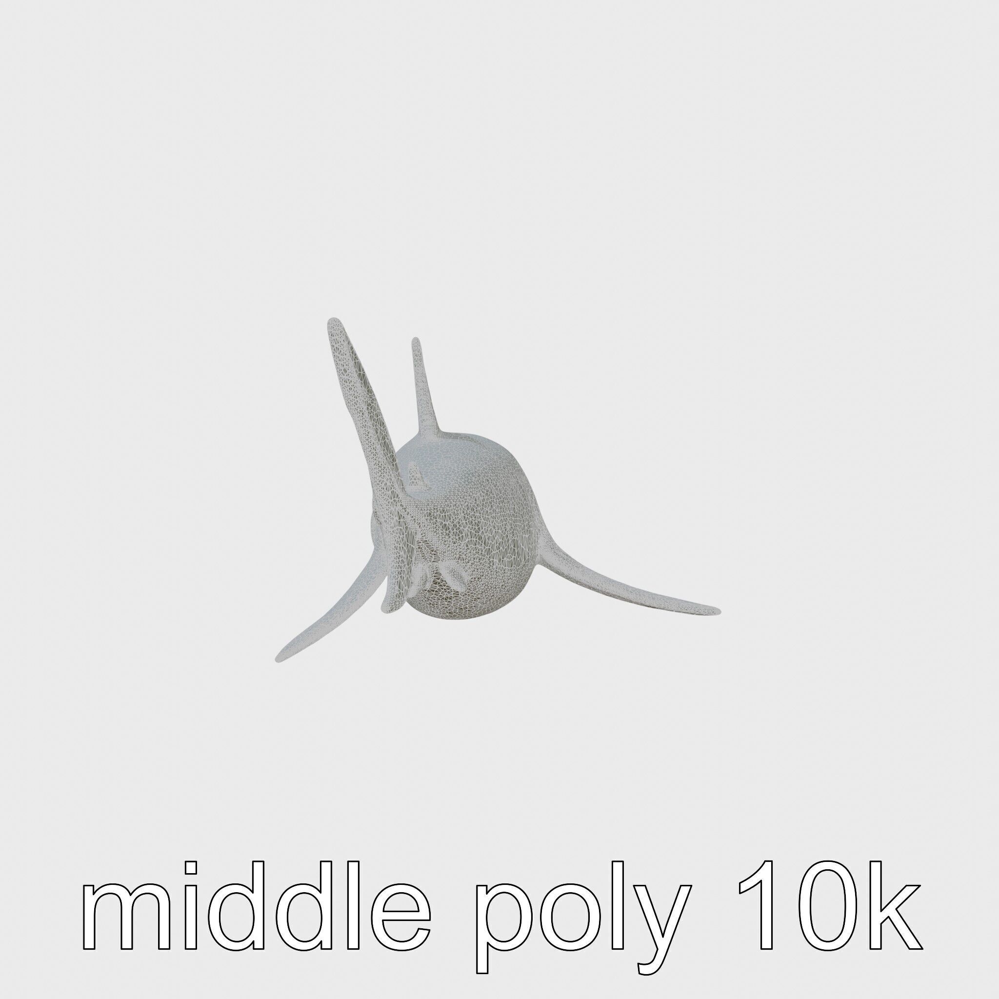 Whitetip Reef Shark 3D Model with White-Tipped Fins Low-poly 3D model_5