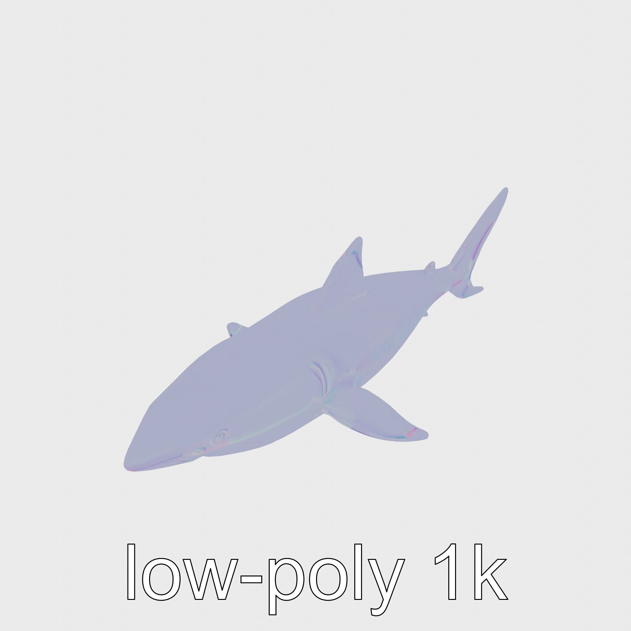 Whitetip Reef Shark 3D Model with White-Tipped Fins Low-poly 3D model_13