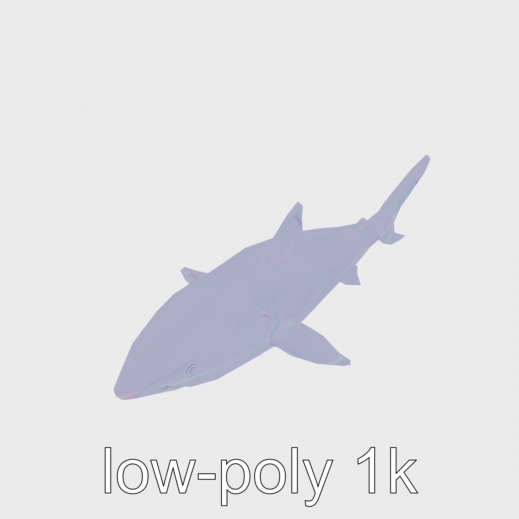 Whitetip Reef Shark 3D Model with White-Tipped Fins Low-poly 3D model_15