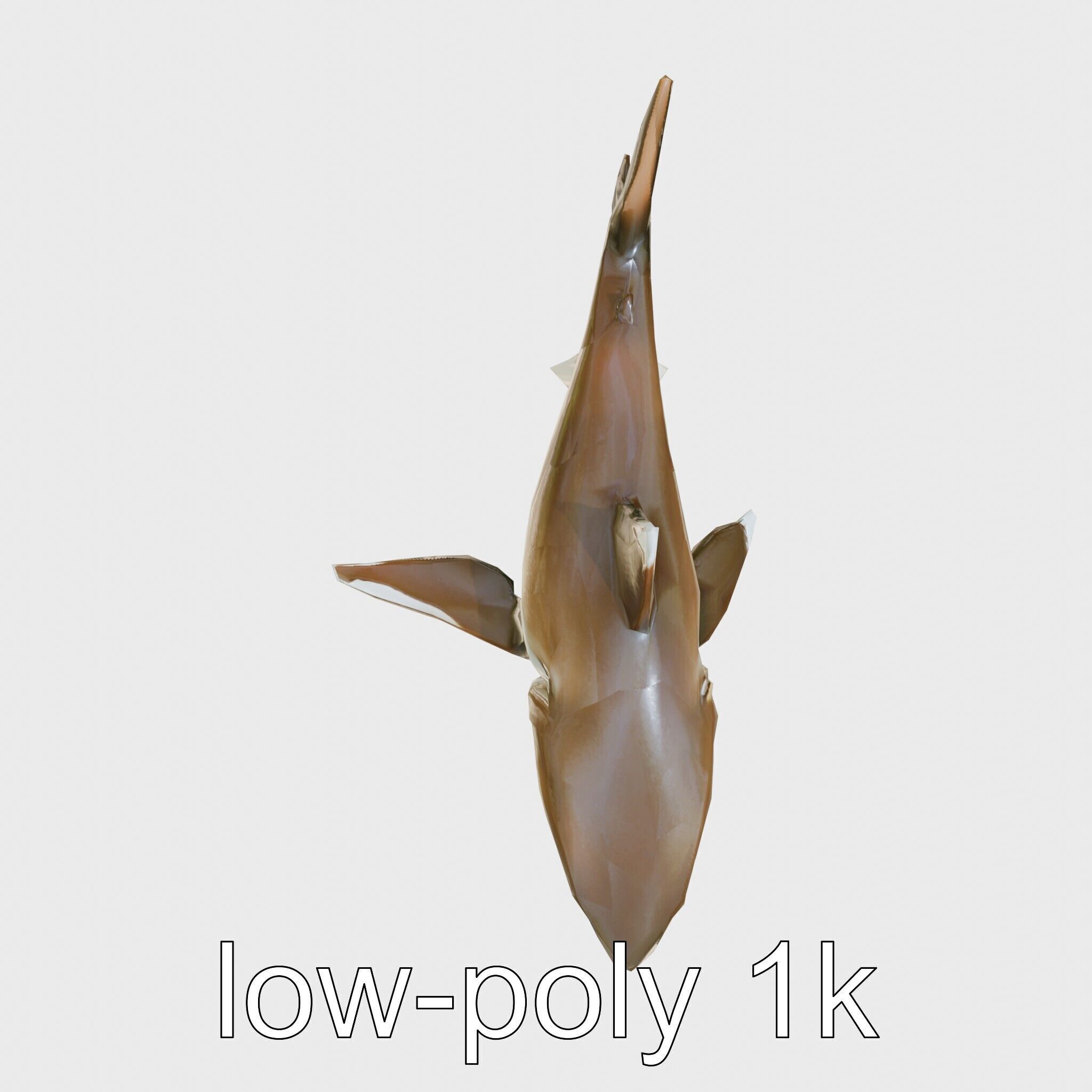 Whitetip Reef Shark 3D Model with White-Tipped Fins Low-poly 3D model_22