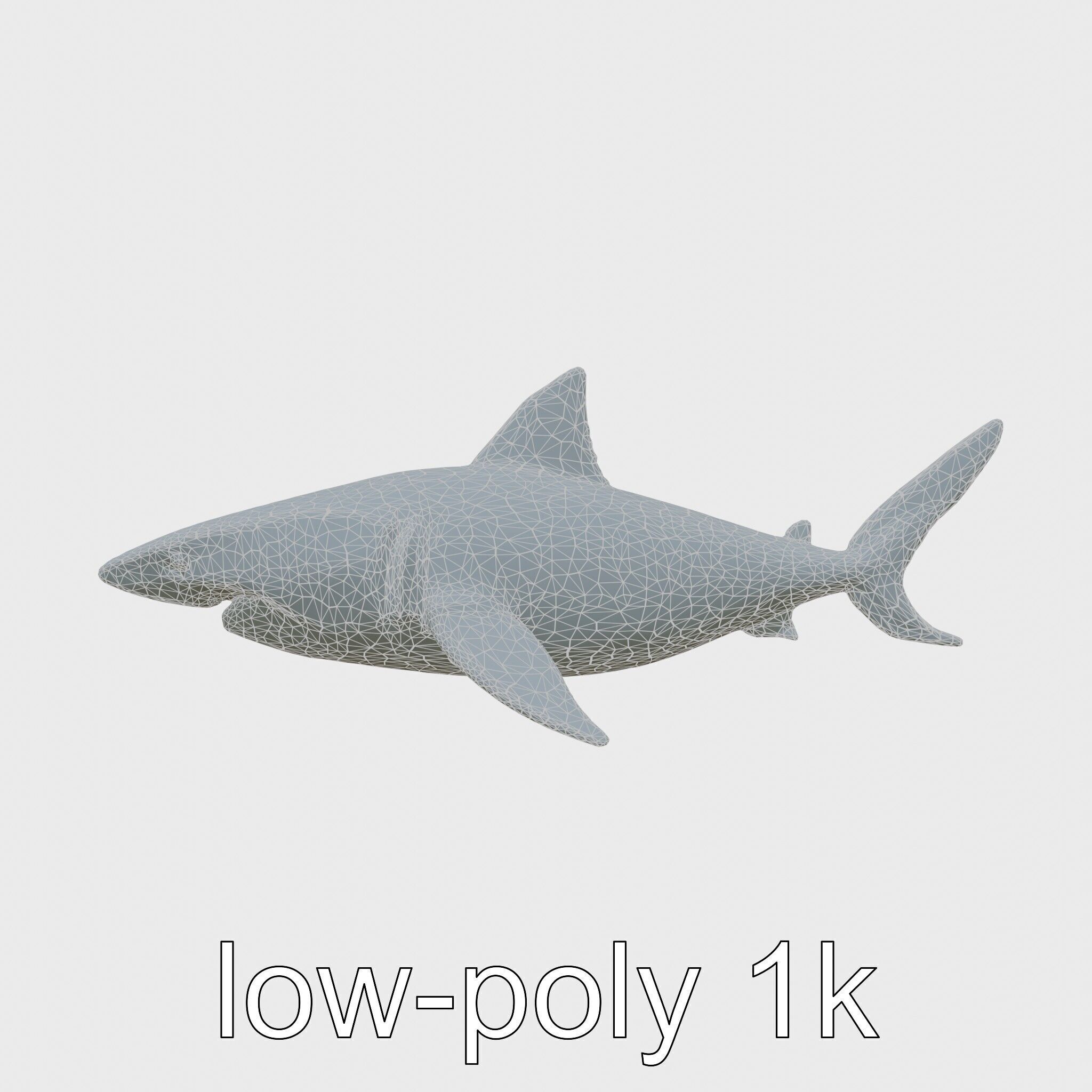 Whitetip Reef Shark 3D Model with White-Tipped Fins Low-poly 3D model_29