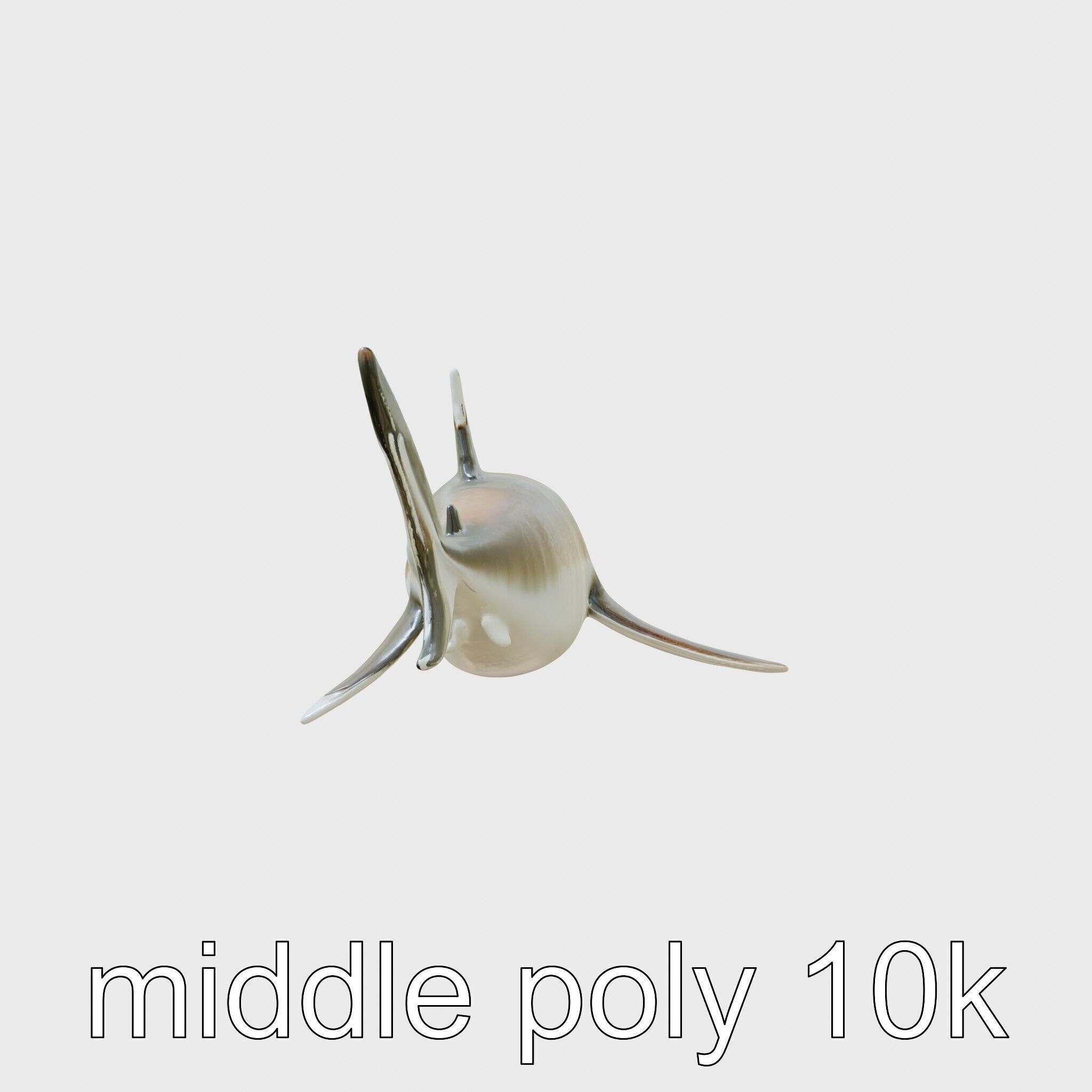 Whitetip Reef Shark 3D Model with White-Tipped Fins Low-poly 3D model_2