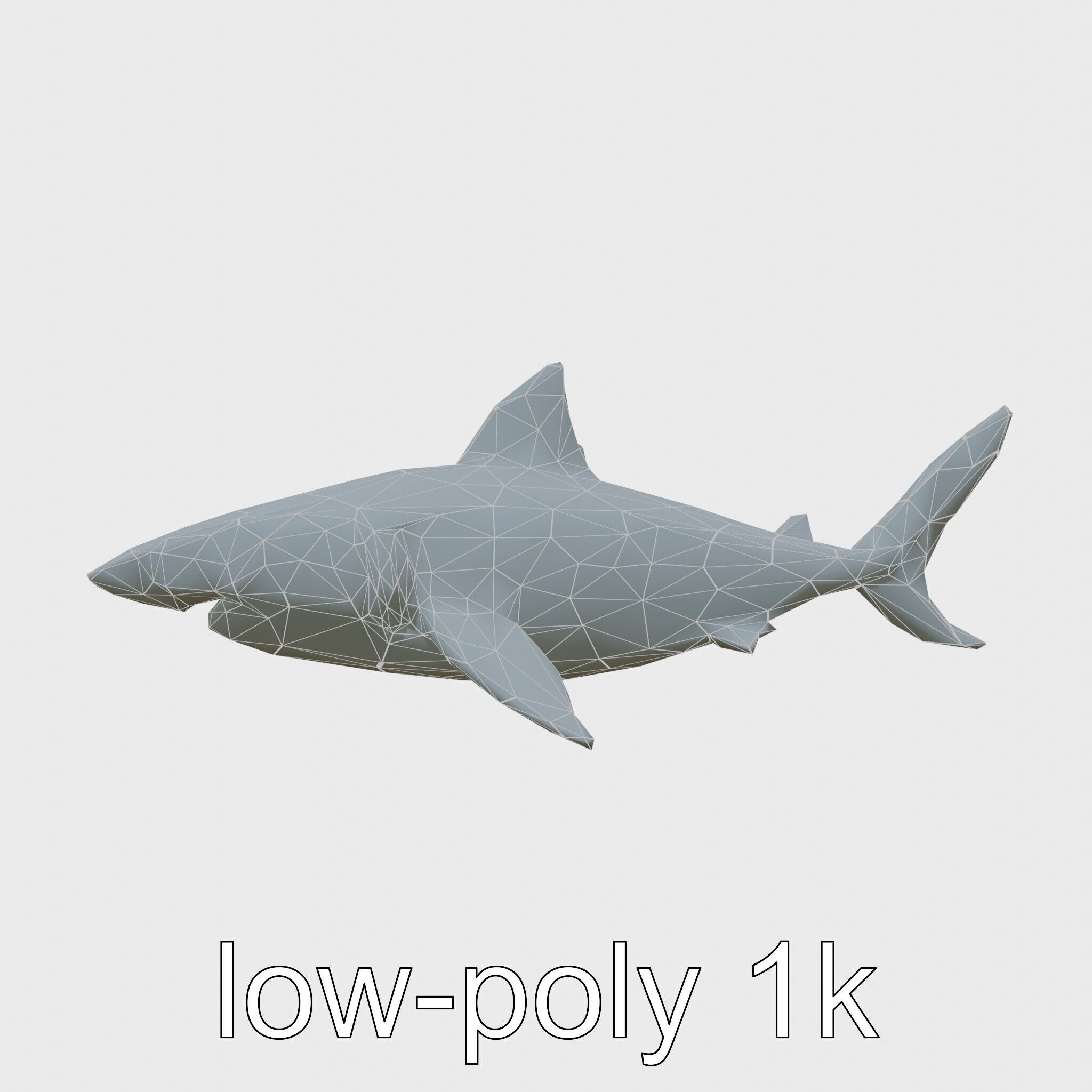 Whitetip Reef Shark 3D Model with White-Tipped Fins Low-poly 3D model_26