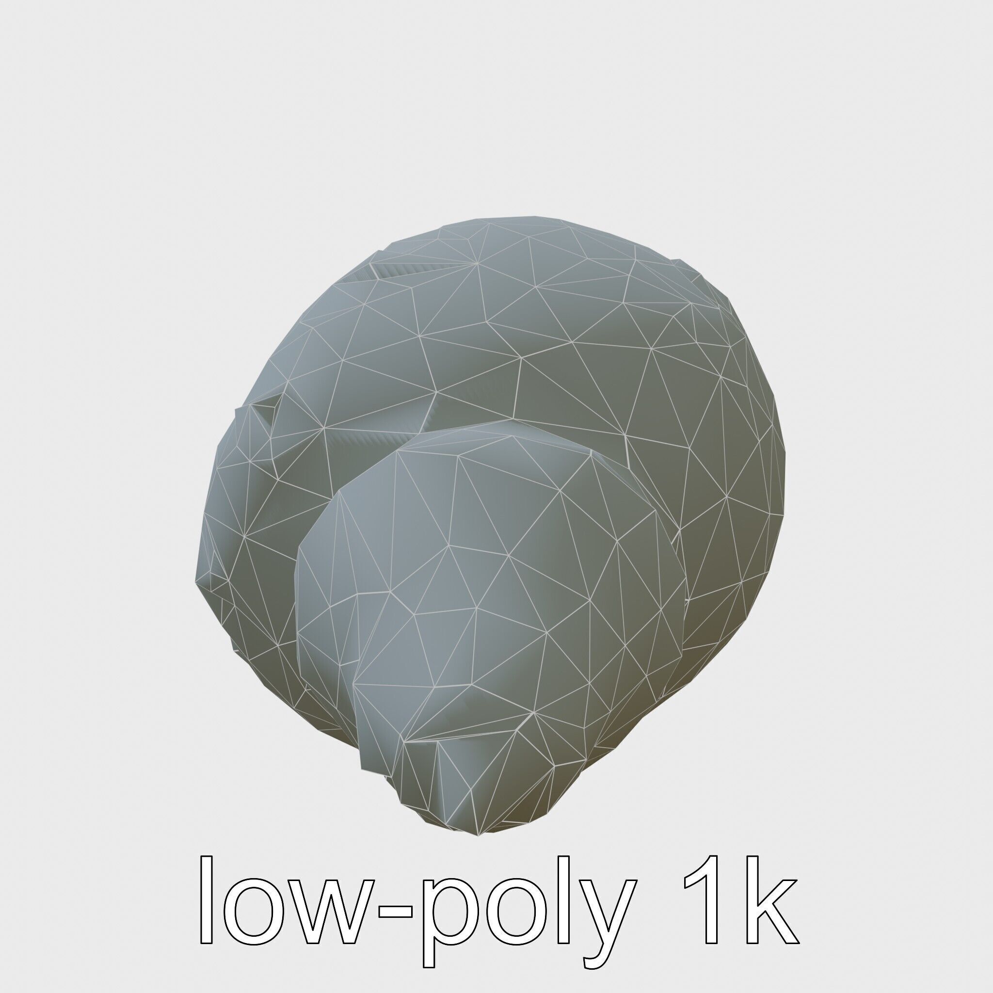 Chambered Nautilus Shell with Intricate Spirals 3D Model Low-poly 3D model_7