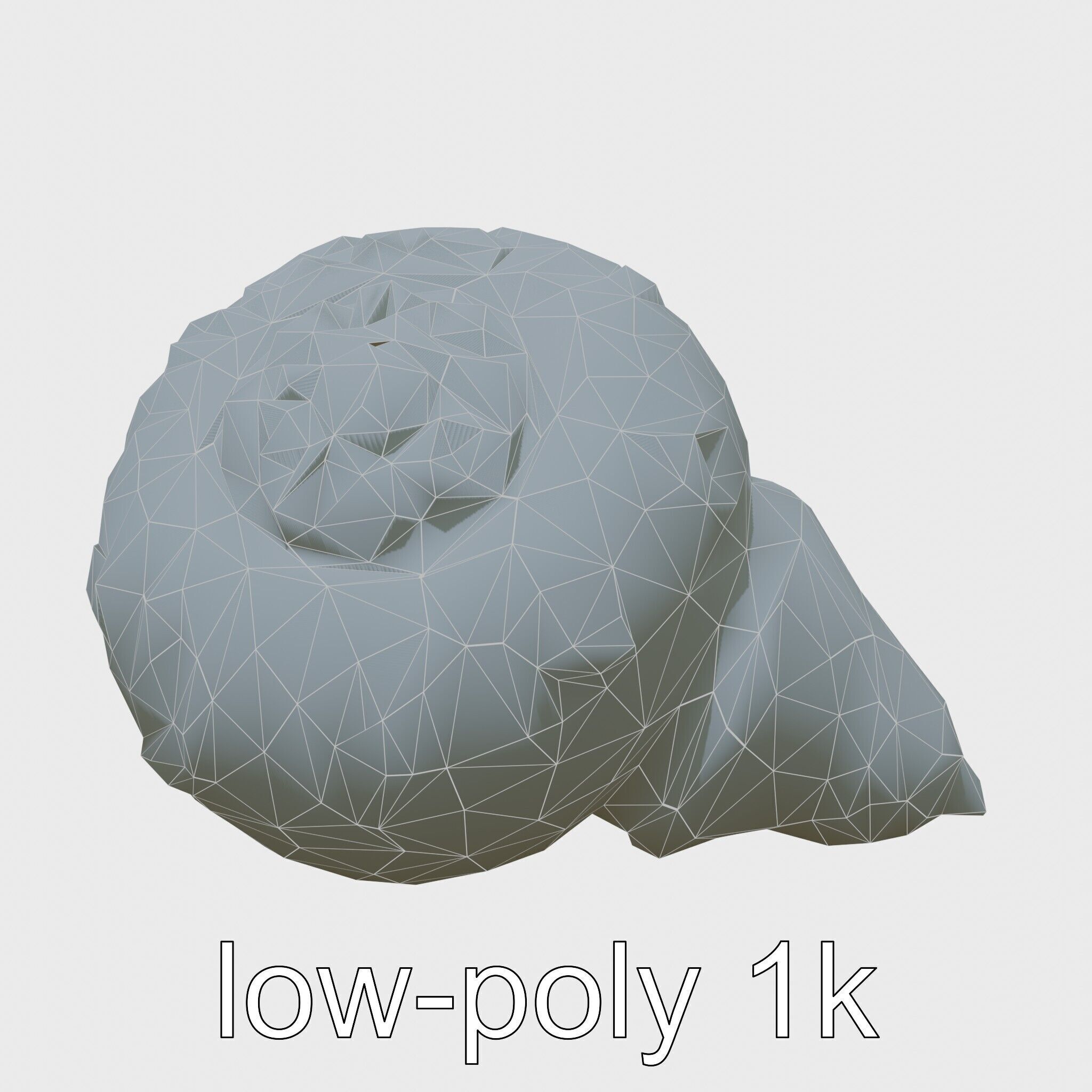 Chambered Nautilus Shell with Intricate Spirals 3D Model Low-poly 3D model_11