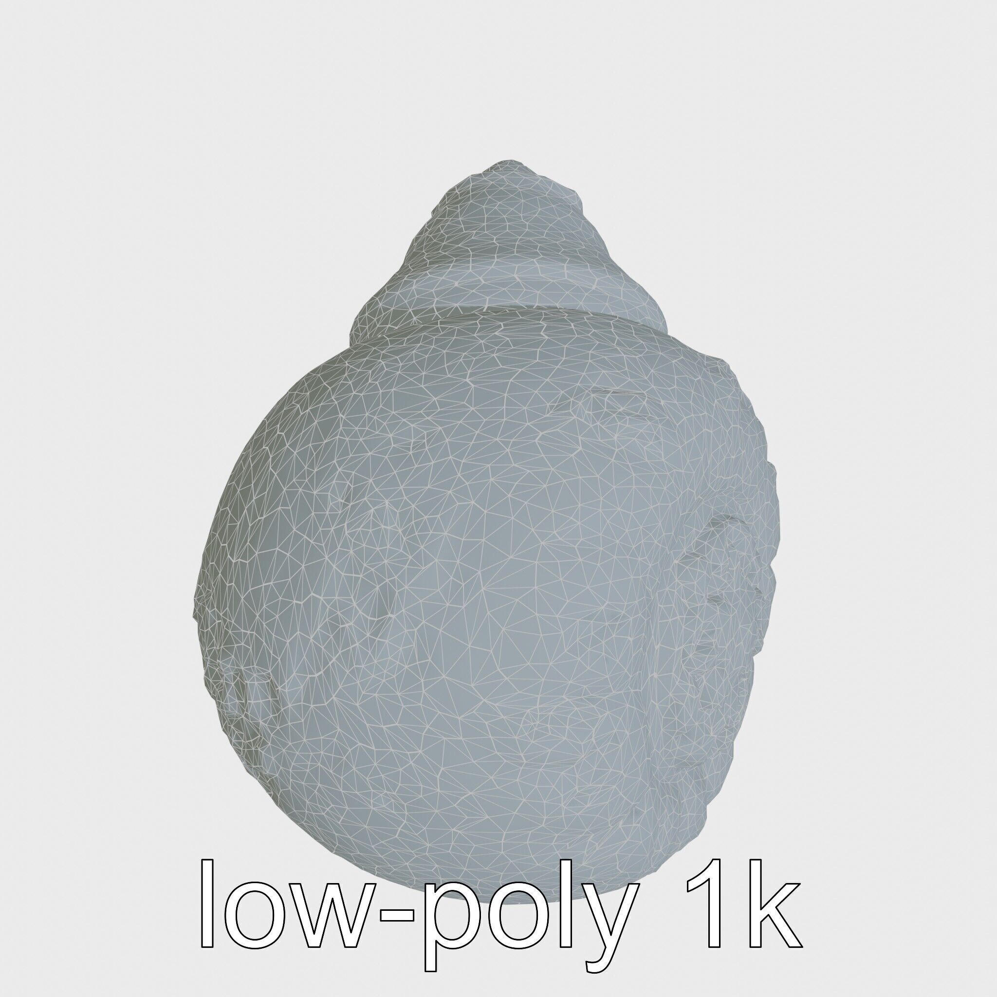 Chambered Nautilus Shell with Intricate Spirals 3D Model Low-poly 3D model_16