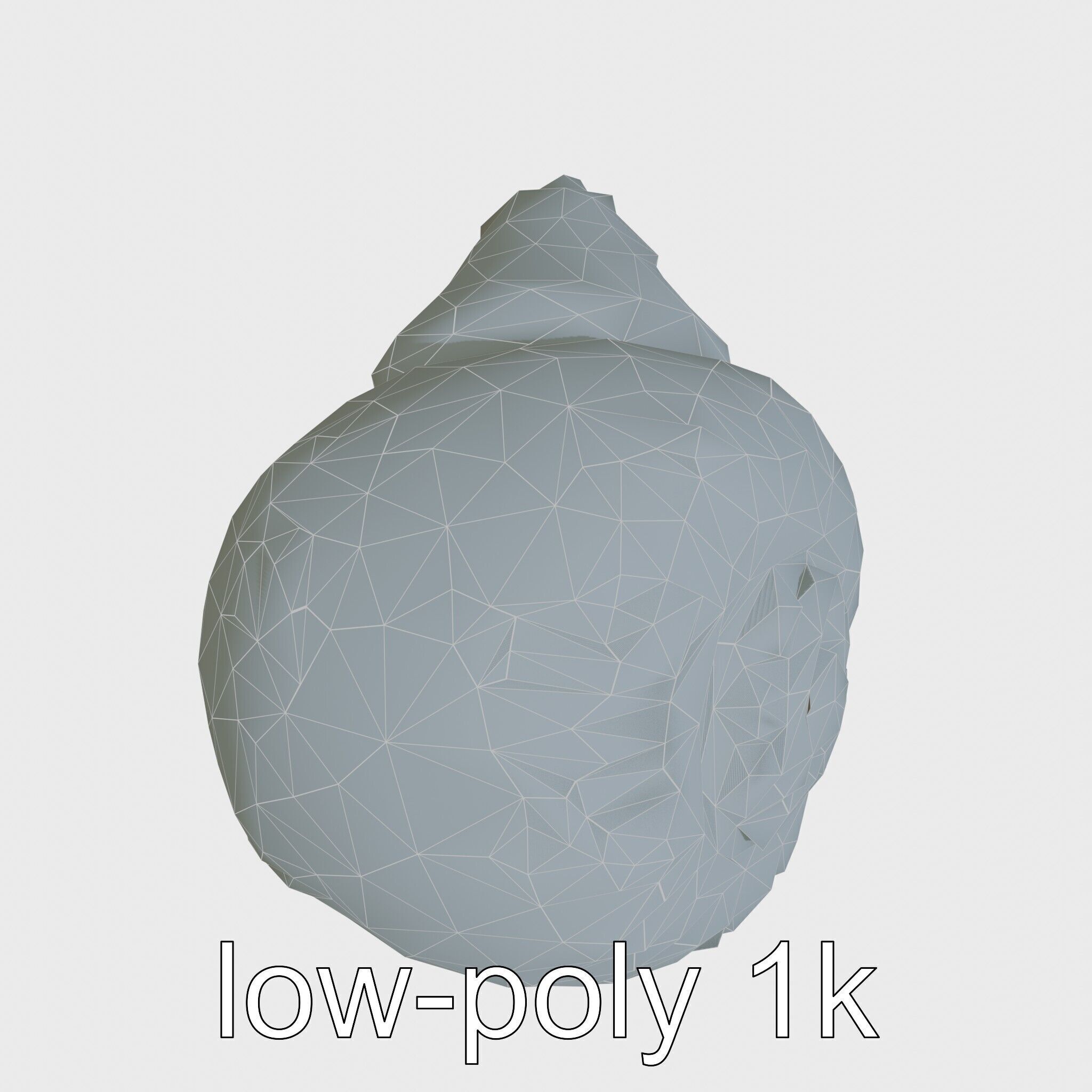 Chambered Nautilus Shell with Intricate Spirals 3D Model Low-poly 3D model_20