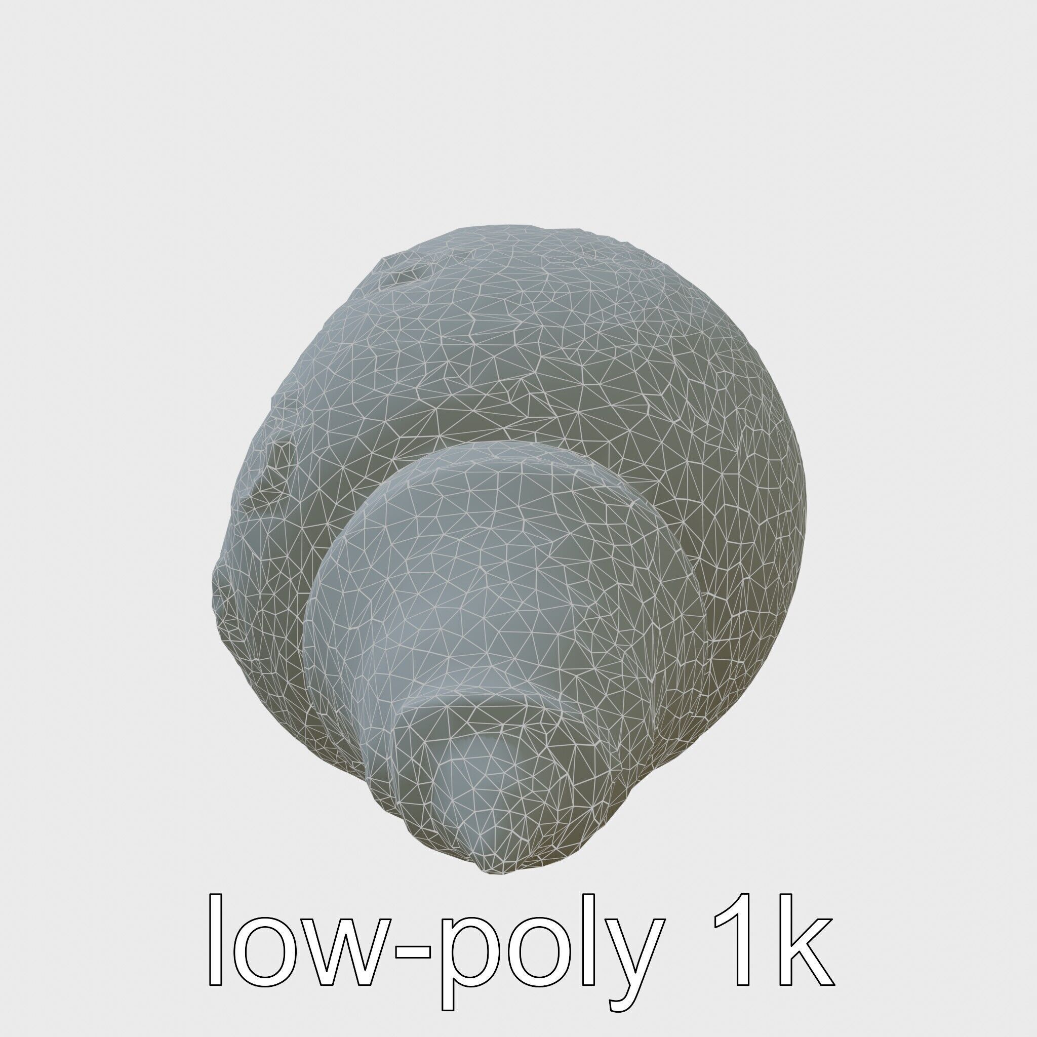 Chambered Nautilus Shell with Intricate Spirals 3D Model Low-poly 3D model_6