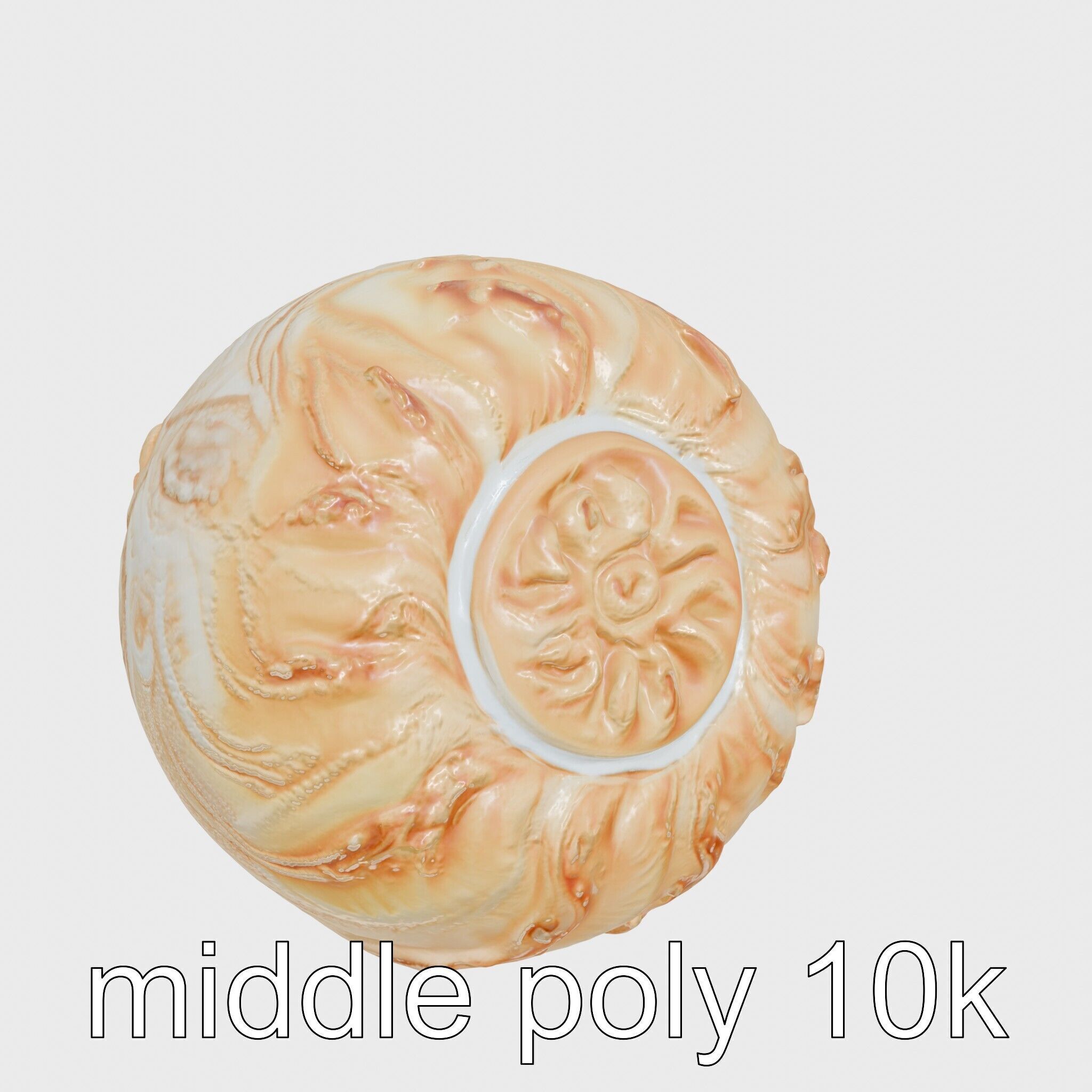 Chambered Nautilus Shell with Intricate Spirals 3D Model Low-poly 3D model_29