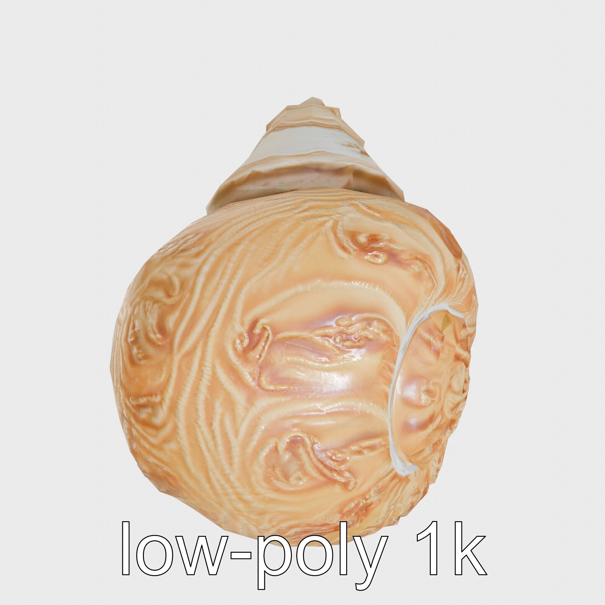Chambered Nautilus Shell with Intricate Spirals 3D Model Low-poly 3D model_12