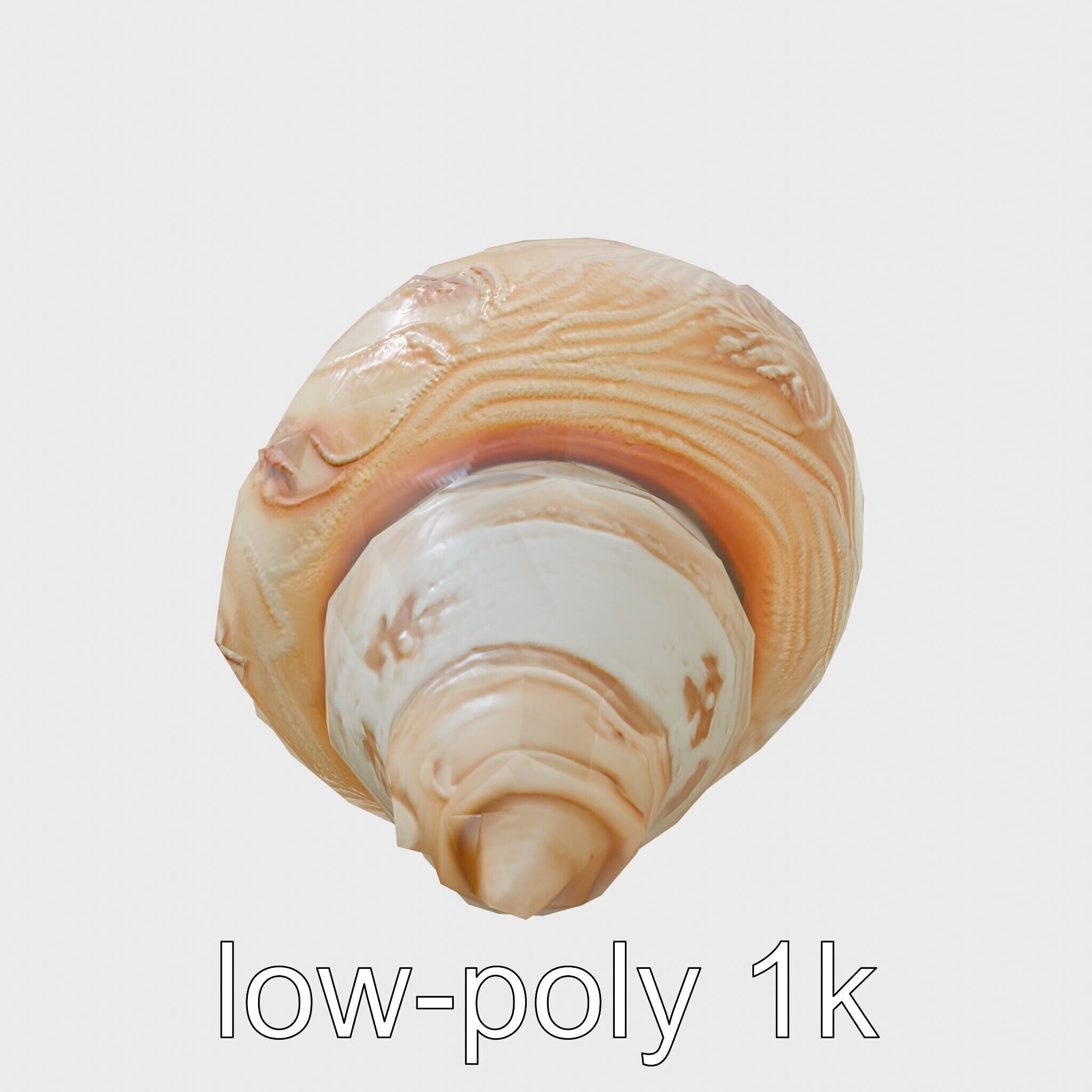 Chambered Nautilus Shell with Intricate Spirals 3D Model Low-poly 3D model_4