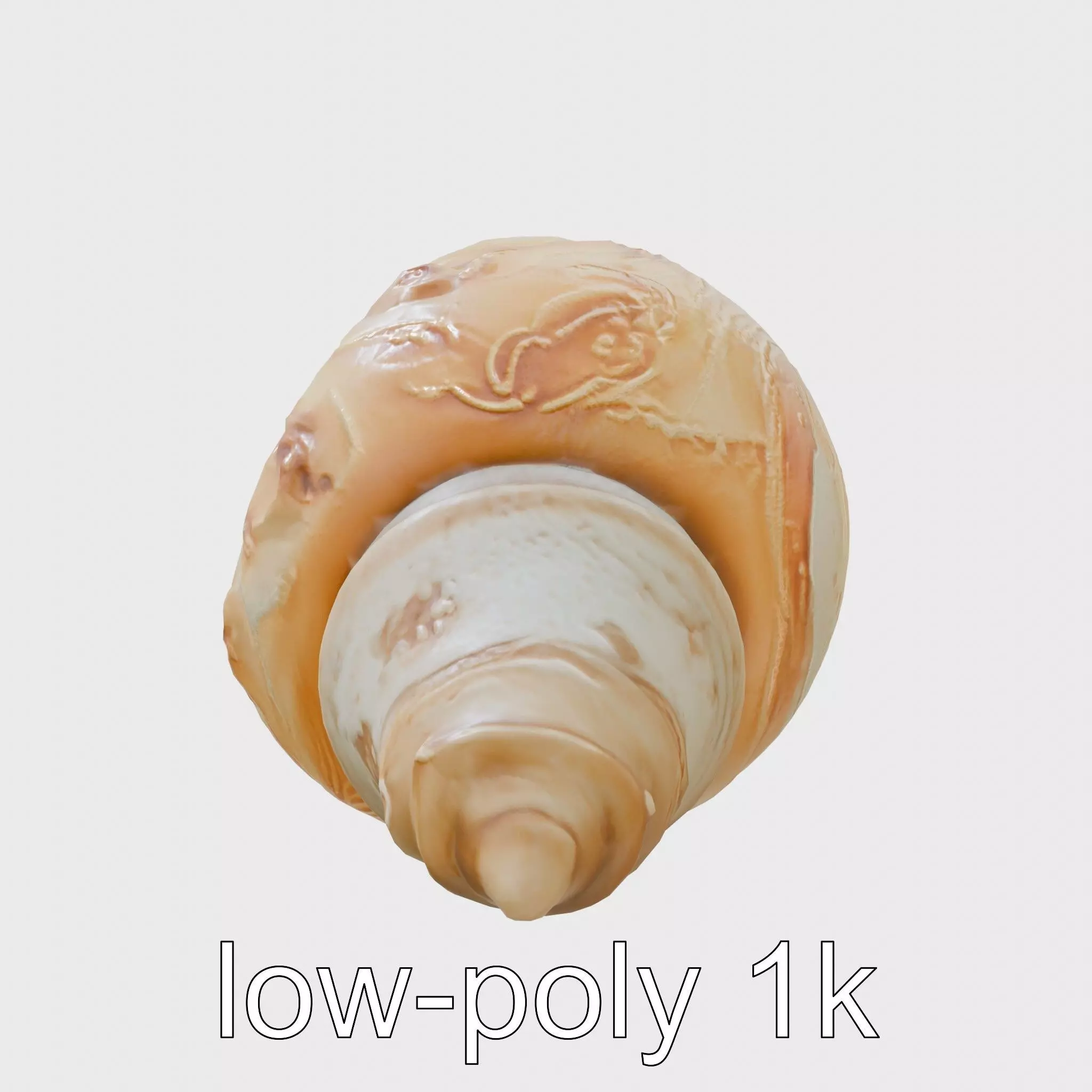 Chambered Nautilus Shell with Intricate Spirals 3D Model Low-poly 3D model_0