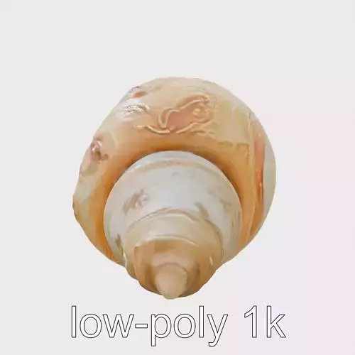 Chambered Nautilus Shell with Intricate Spirals 3D Model Low-poly 3D model