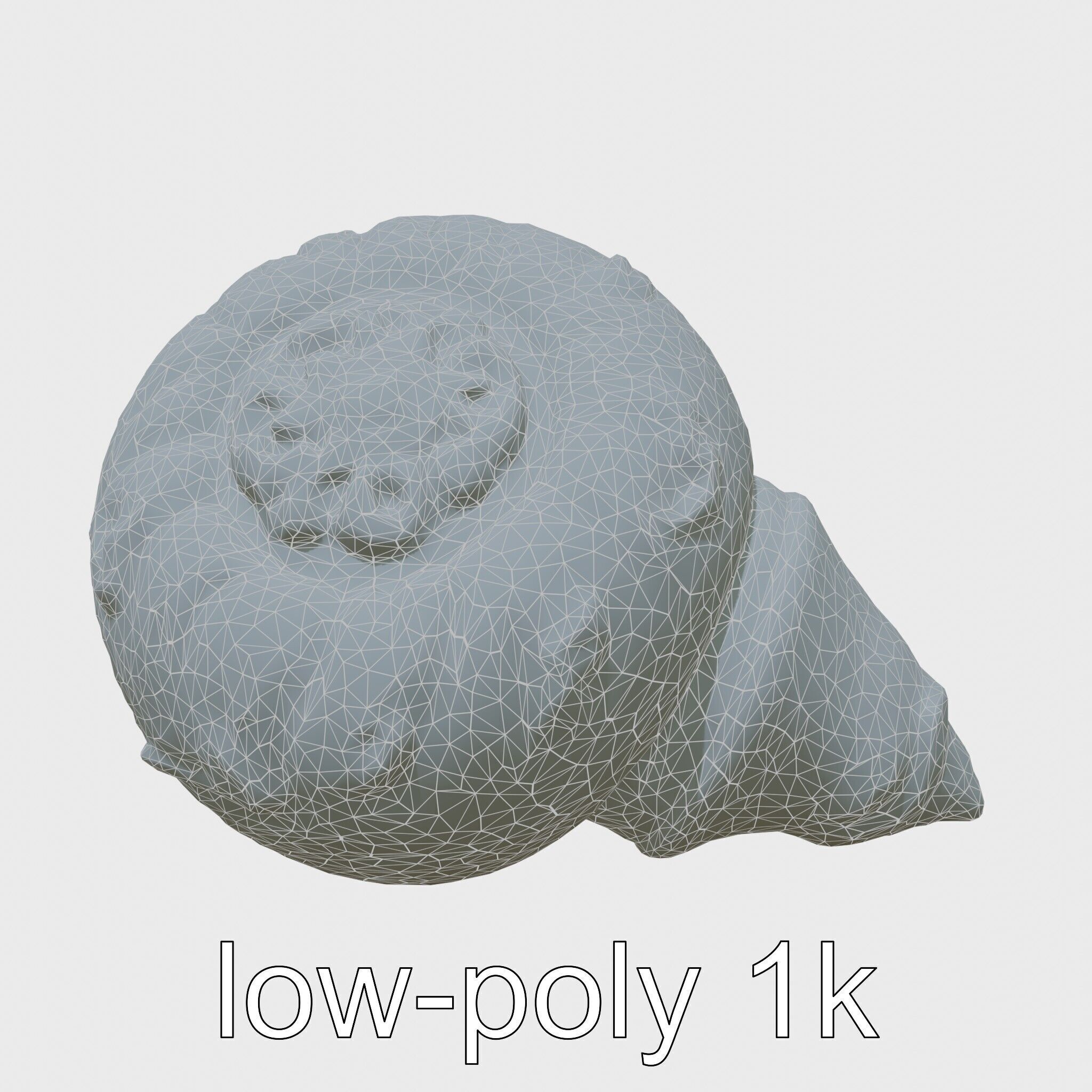 Chambered Nautilus Shell with Intricate Spirals 3D Model Low-poly 3D model_27