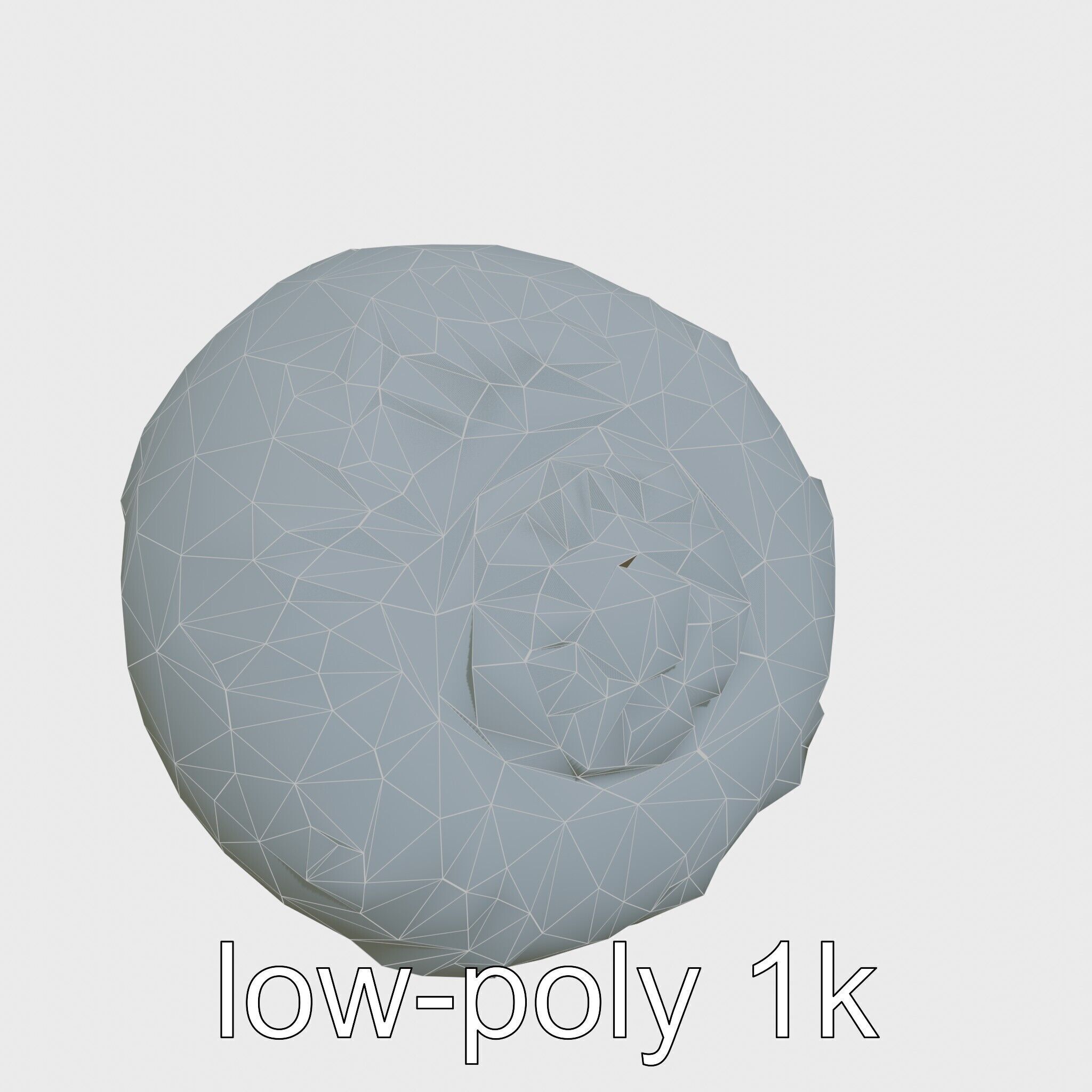 Chambered Nautilus Shell with Intricate Spirals 3D Model Low-poly 3D model_14